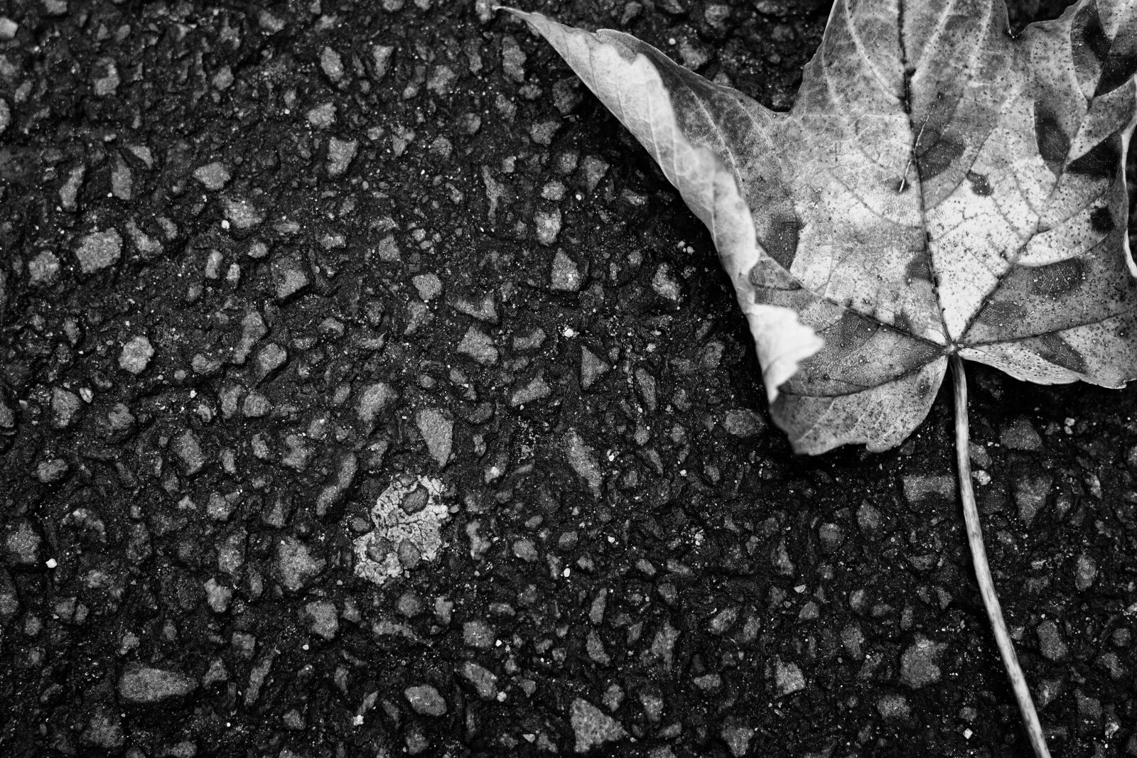 Canon EOS 700D (EOS Rebel T5i / EOS Kiss X7i) sample photo. Sheet, road, ground photography