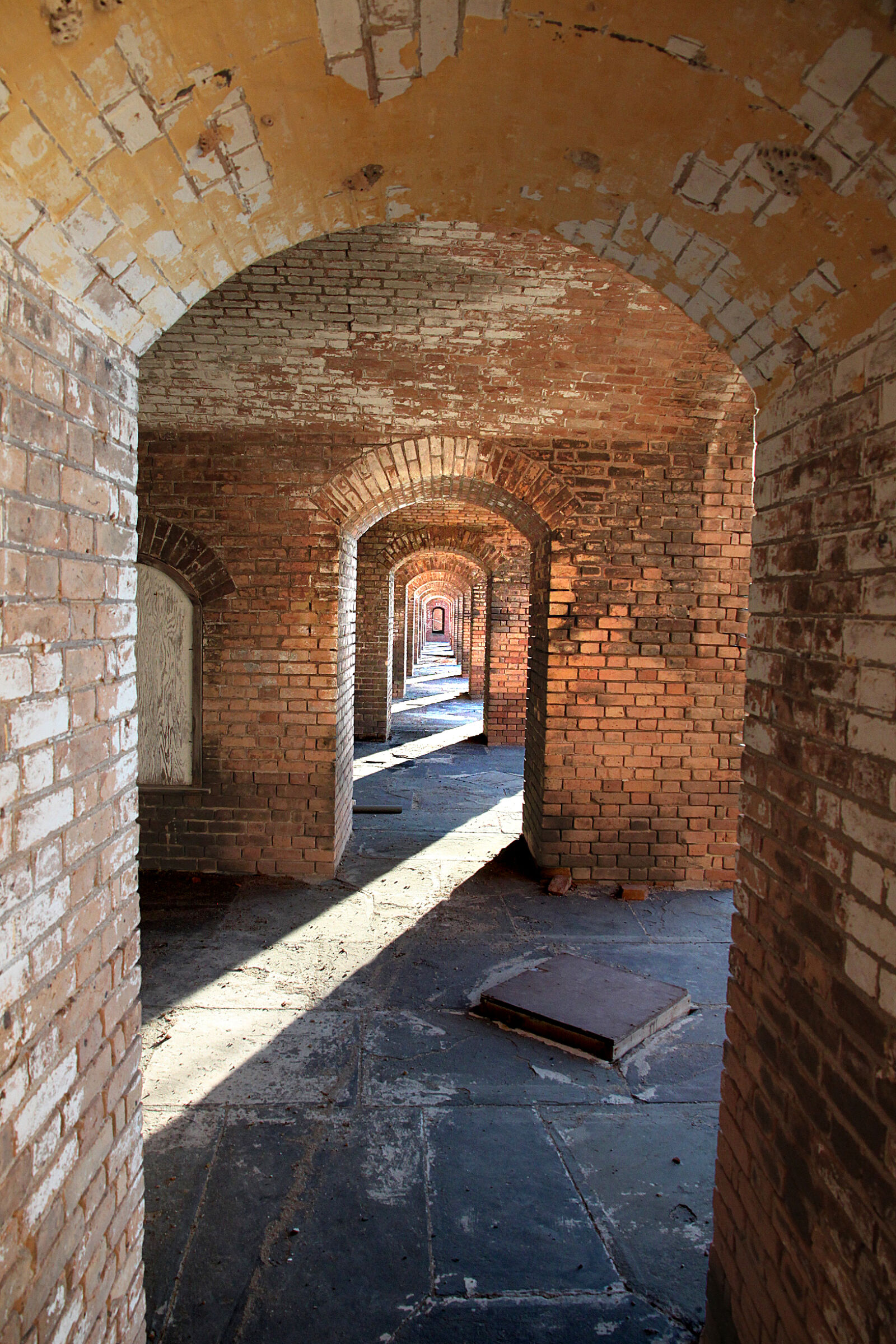 Canon EOS 500D (EOS Rebel T1i / EOS Kiss X3) sample photo