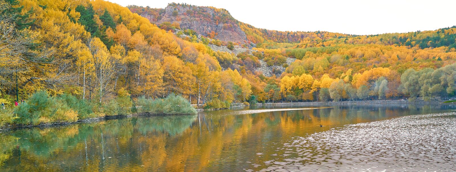 Sony a7R II sample photo. Autumn, season, landscape photography