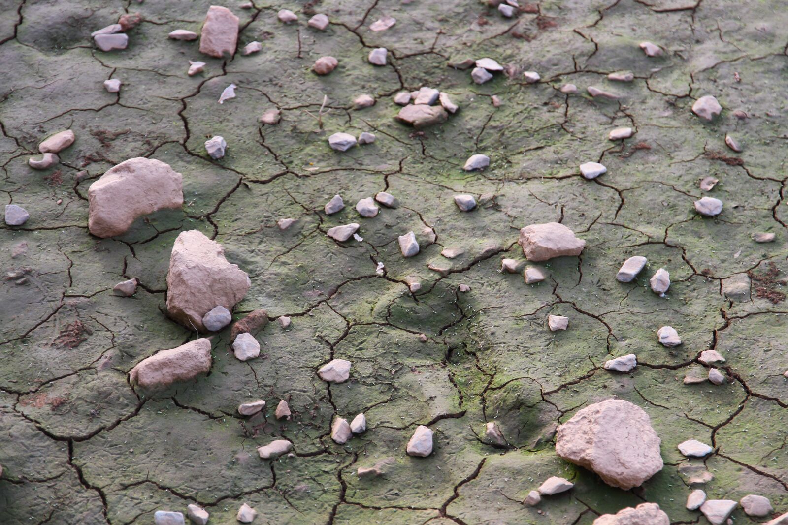 Canon EOS 7D sample photo. Drought, aridity, mud photography