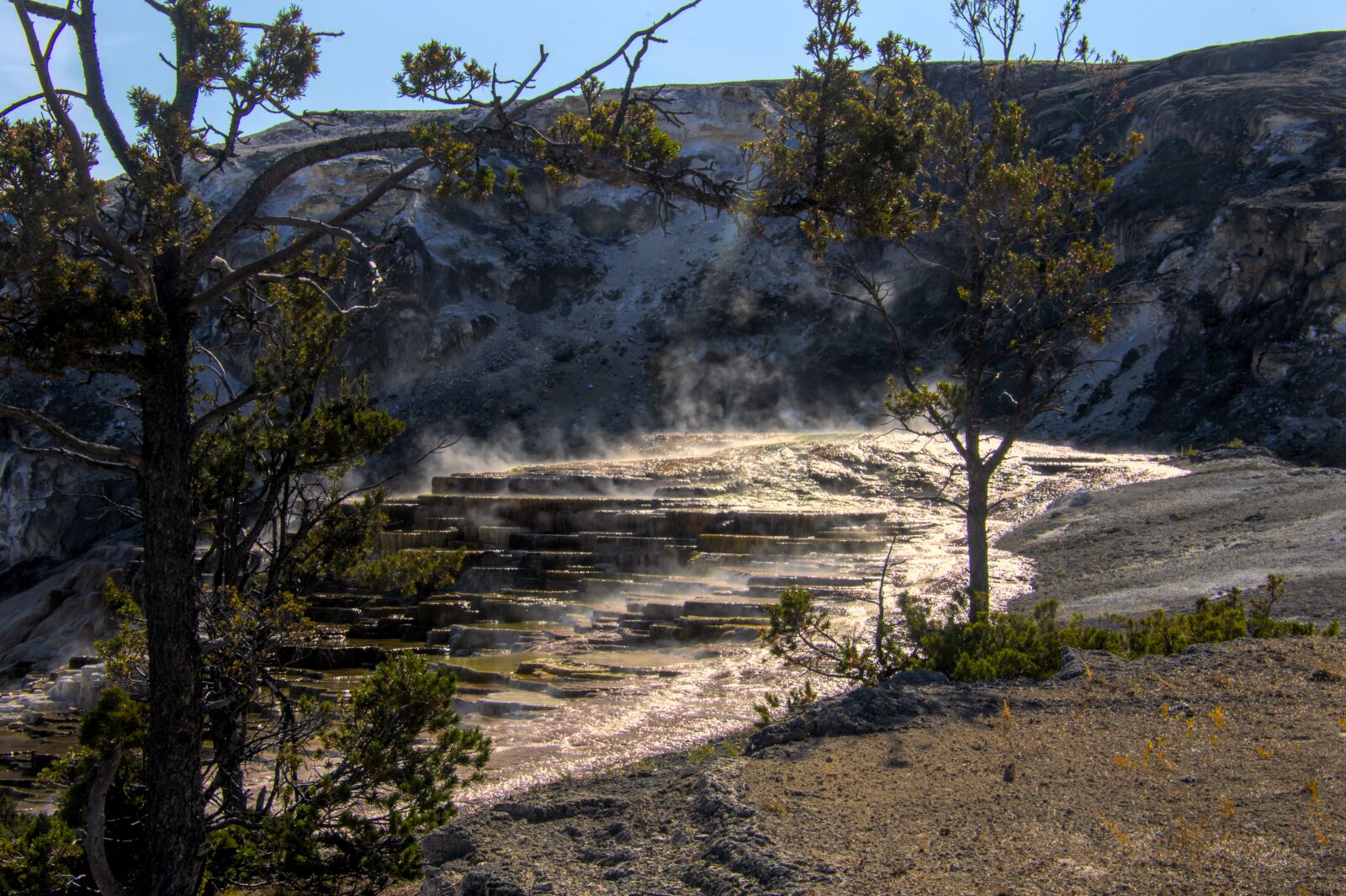 Nikon D850 sample photo. Yellowstone, thermals, park photography
