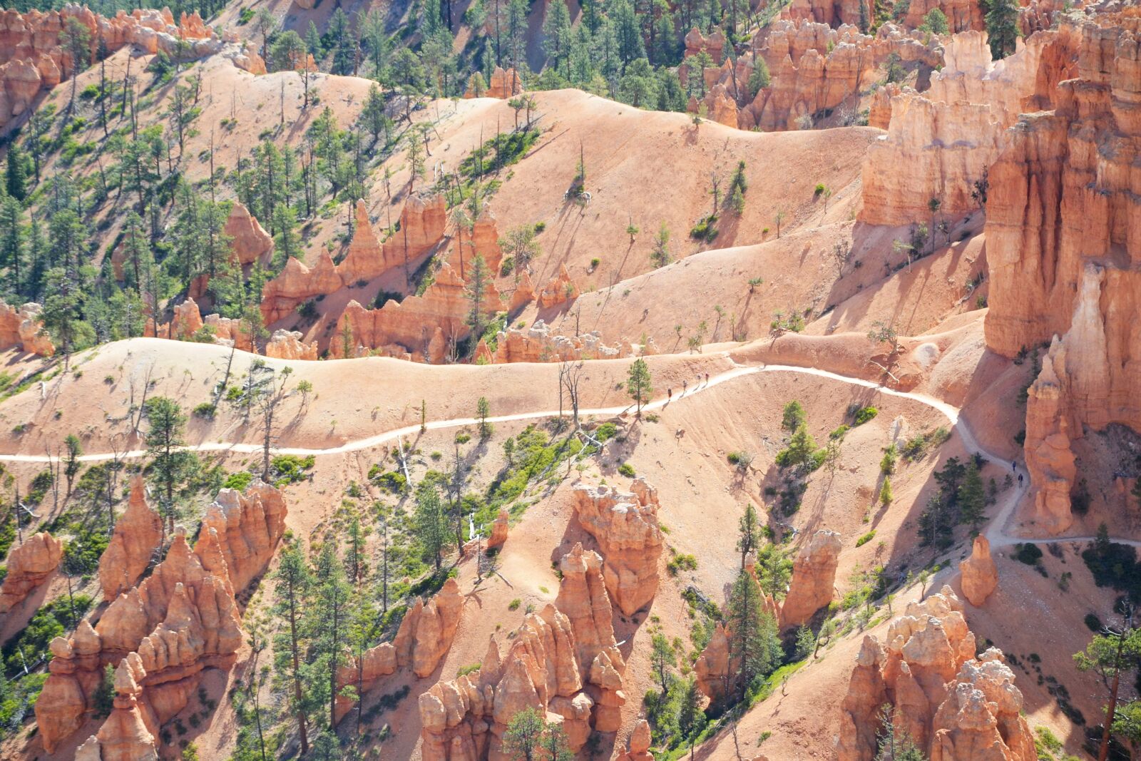 Nikon D7000 sample photo. Bryce canyon national park photography