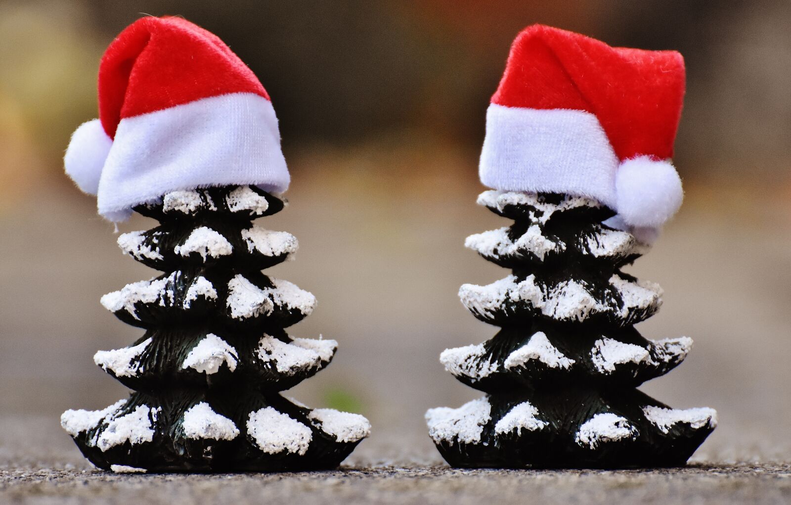 Nikon D7200 sample photo. Christmas, firs, trees photography