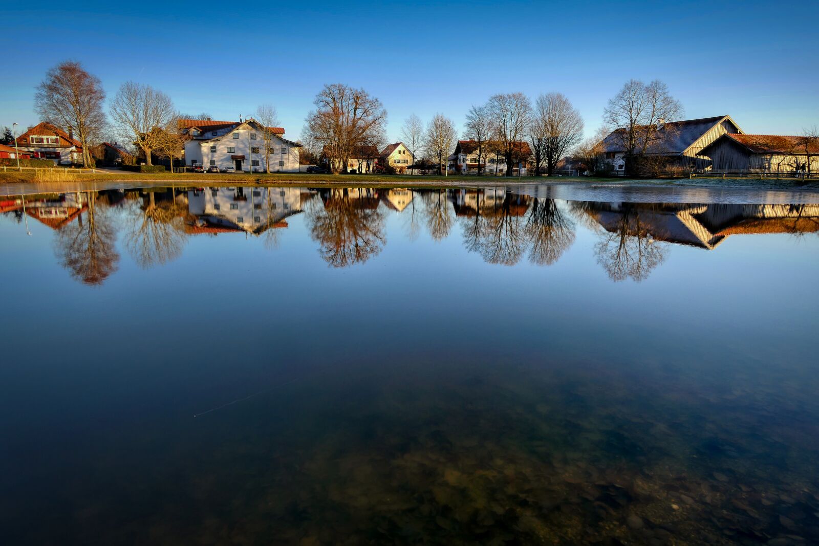 Panasonic Lumix DMC-GX8 sample photo. Pond, water, mirroring photography