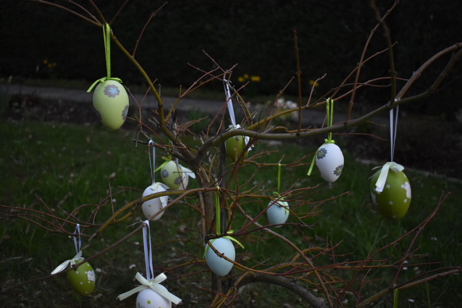 Nikon D3400 sample photo. Easter, spring, nature photography