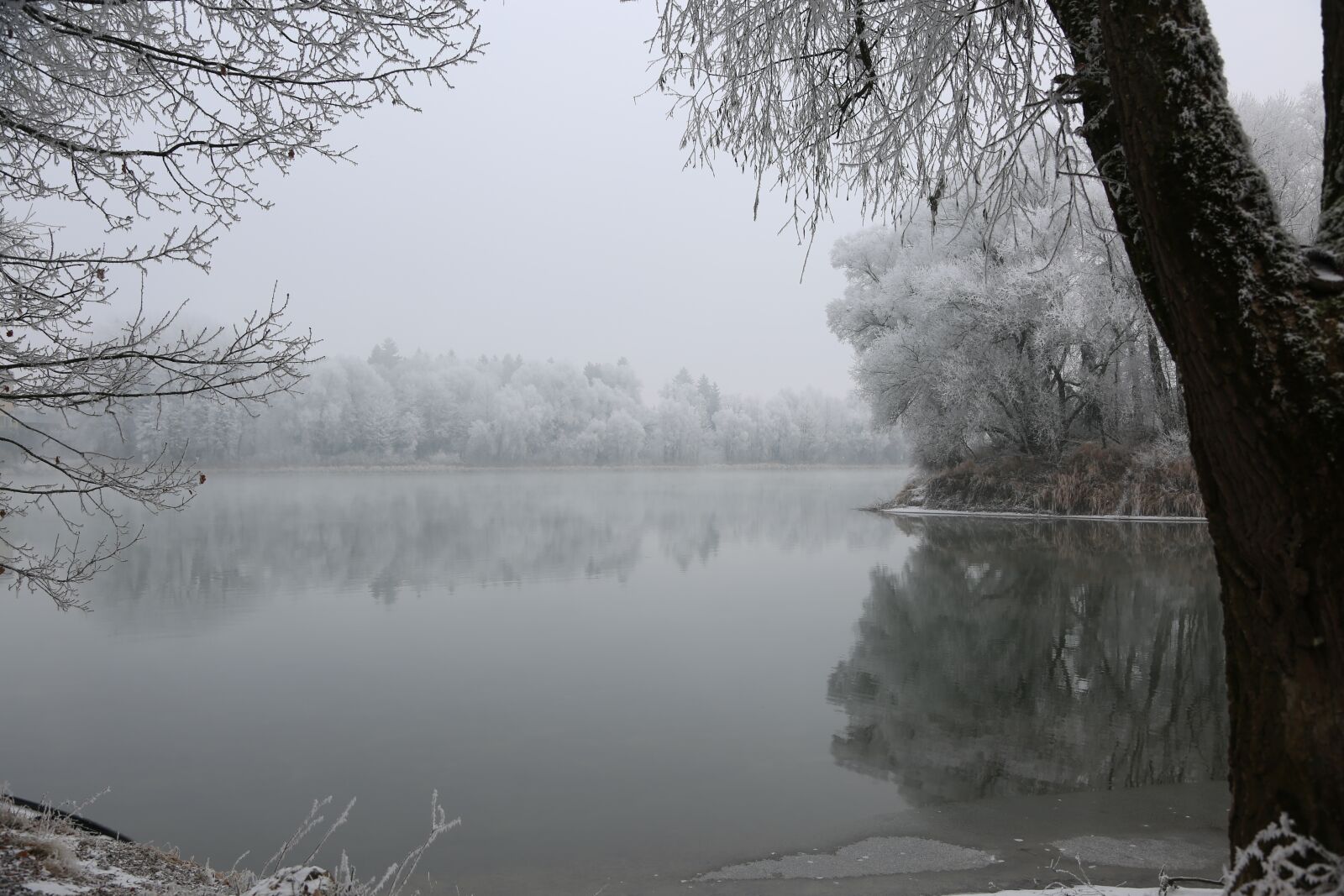 Canon EF 24-105mm F4L IS USM sample photo. Ripe, hoarfrost, cold photography
