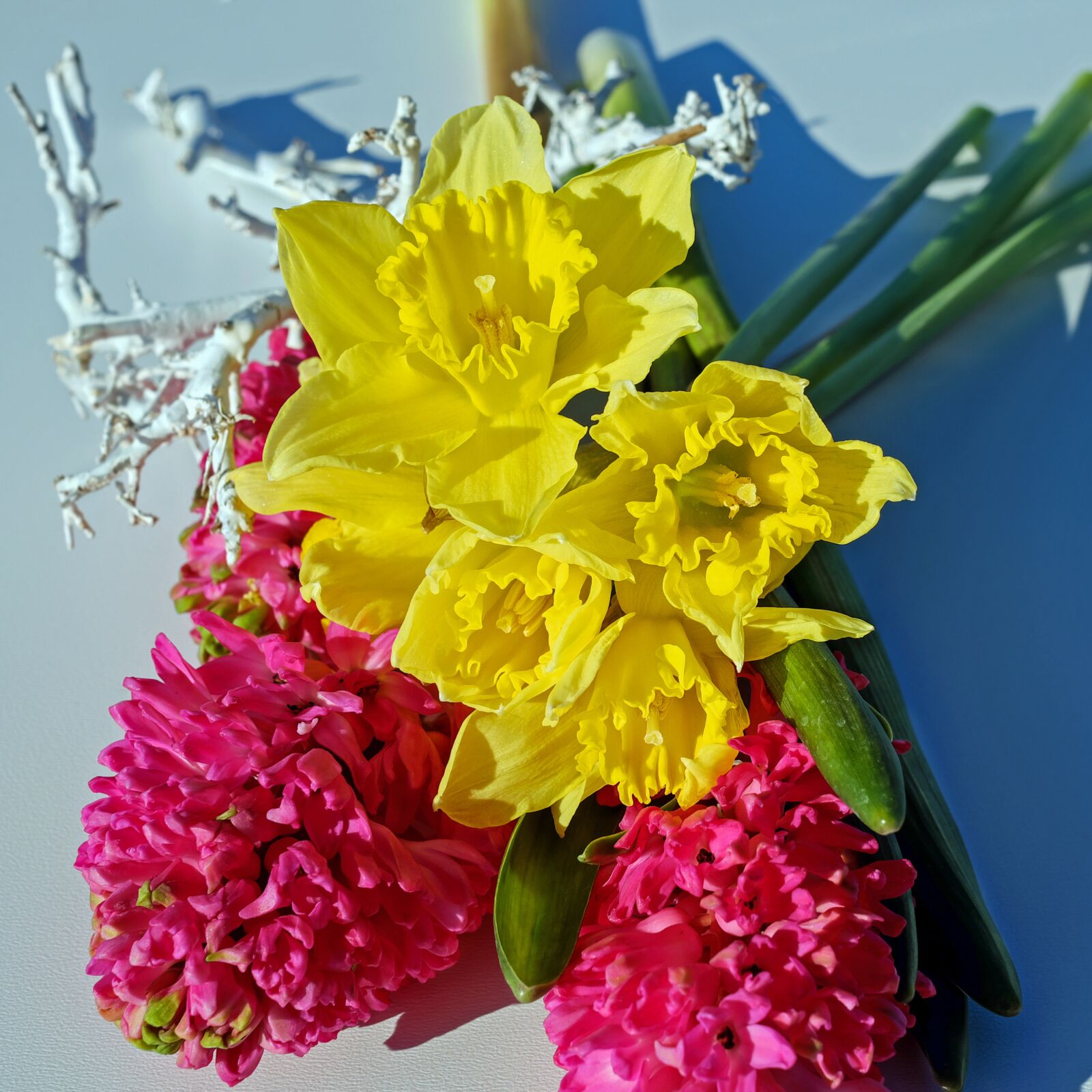 Fujifilm X-T10 + Fujifilm XF 35mm F1.4 R sample photo. Bouquet, flowers, osterglocken photography