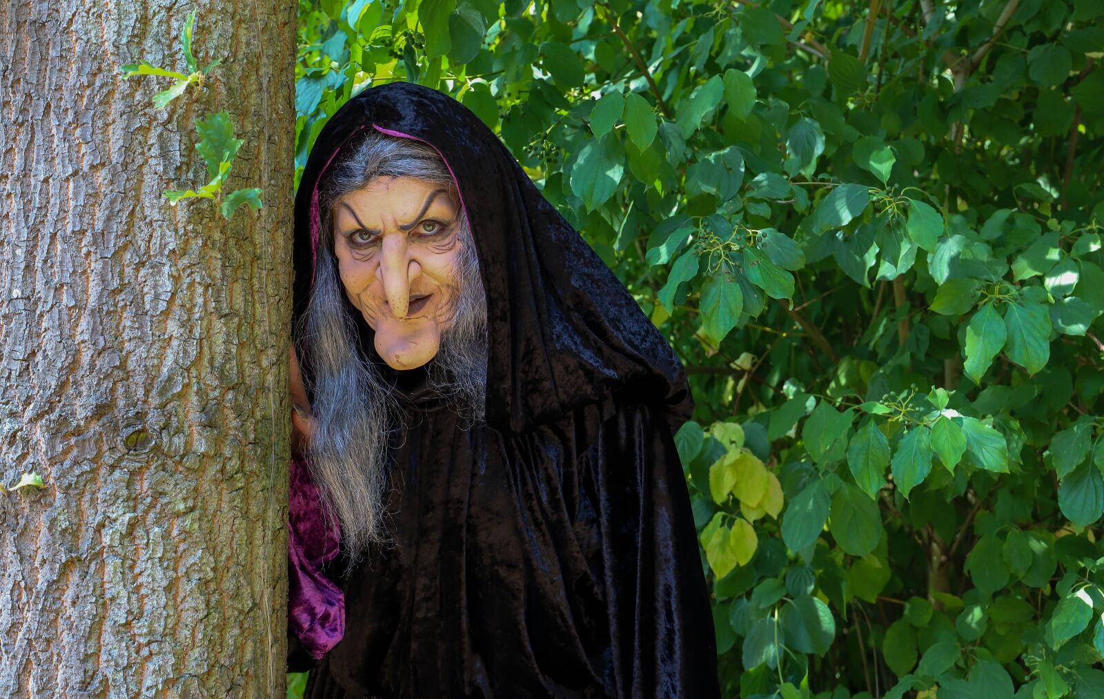 Canon EOS 6D Mark II sample photo. Witch, portrait, fantasy photography