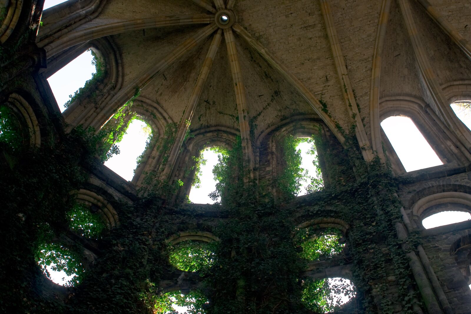 Canon EOS 40D sample photo. Ruin, cathedral, monk photography