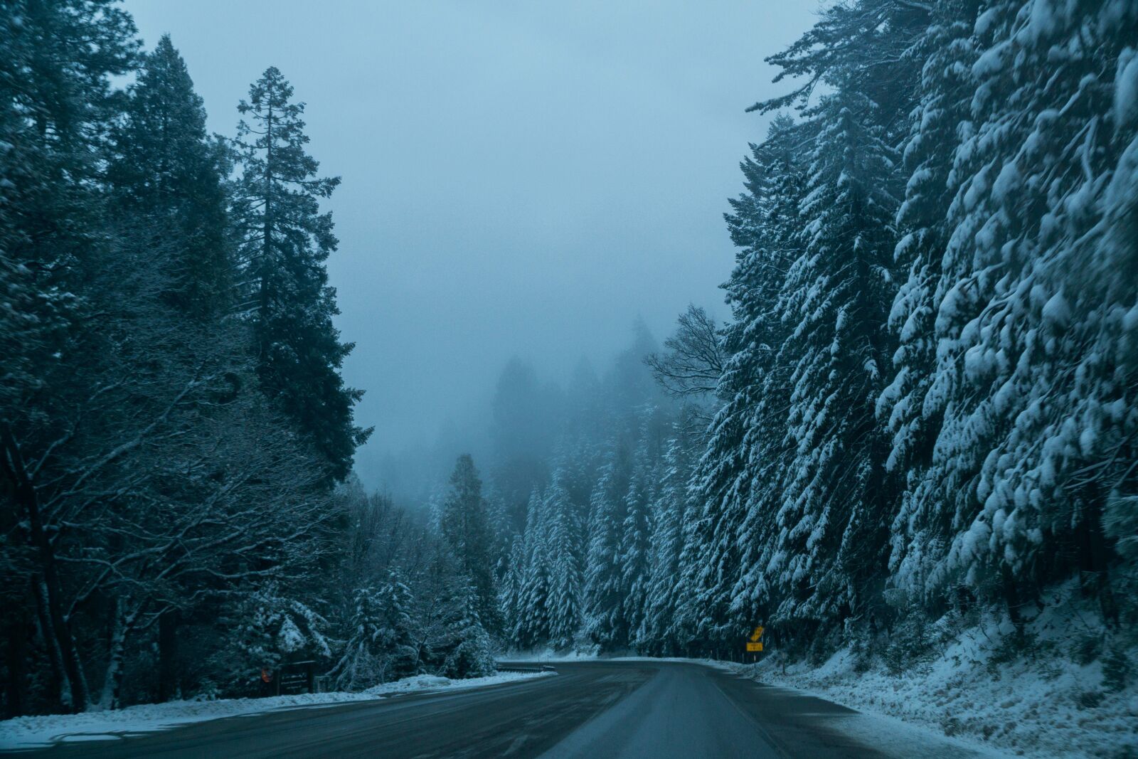 Sony a6000 + Sony E PZ 18-105mm F4 G OSS sample photo. Nature, roads, paths photography