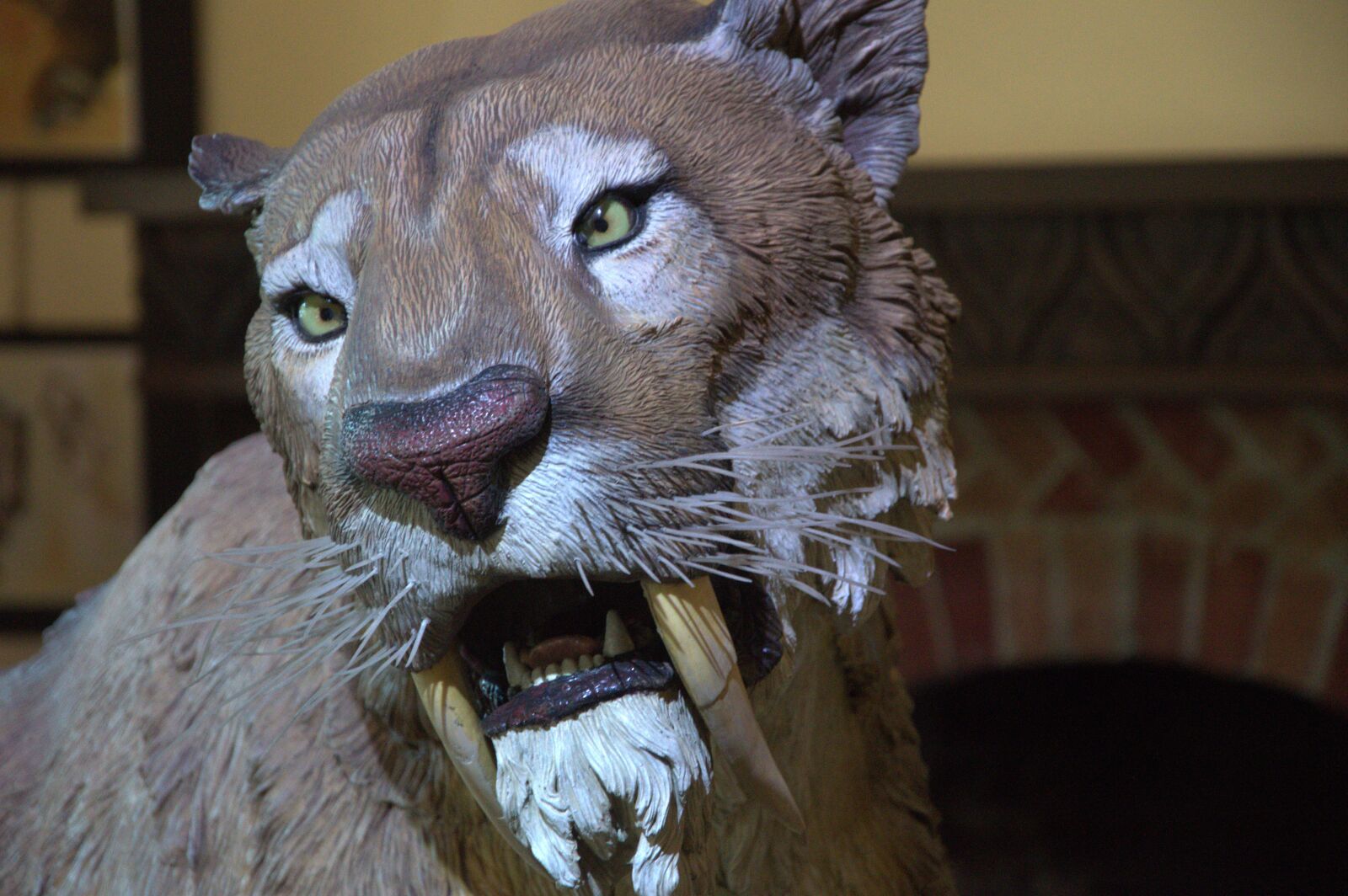 Nikon D3200 sample photo. Lion, fair, feline photography