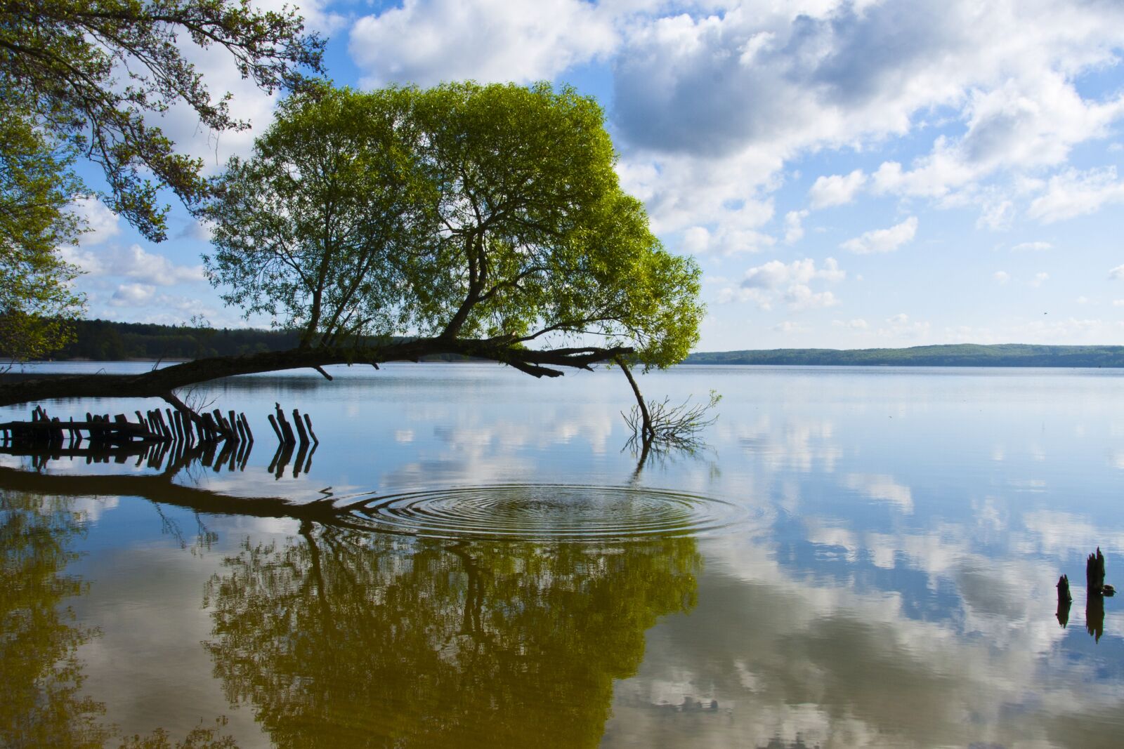 Canon EOS 40D sample photo. Germany, neubrandenburg, mecklenburg western photography
