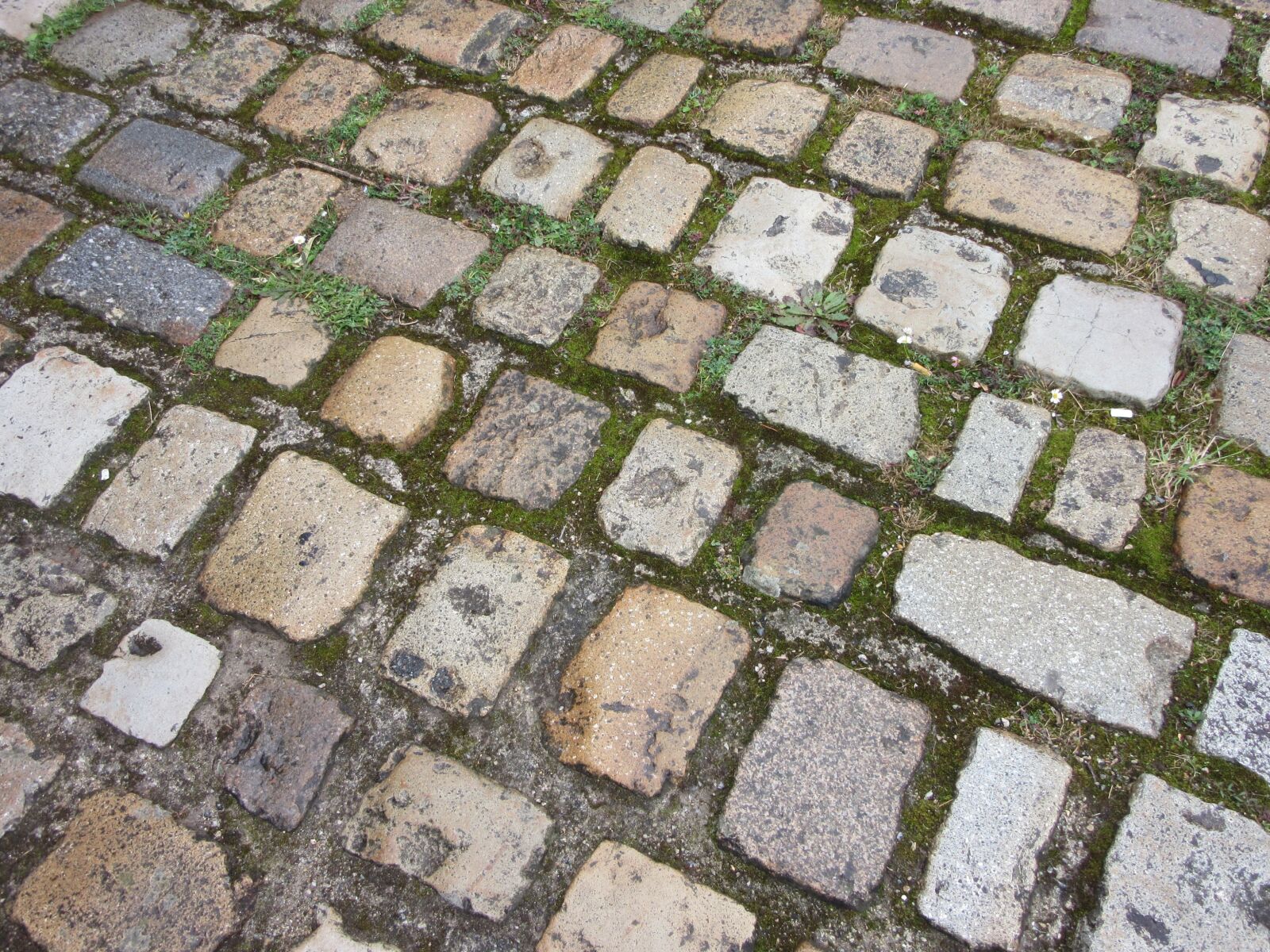 Canon PowerShot SX600 HS sample photo. Pavers, soil, texture photography