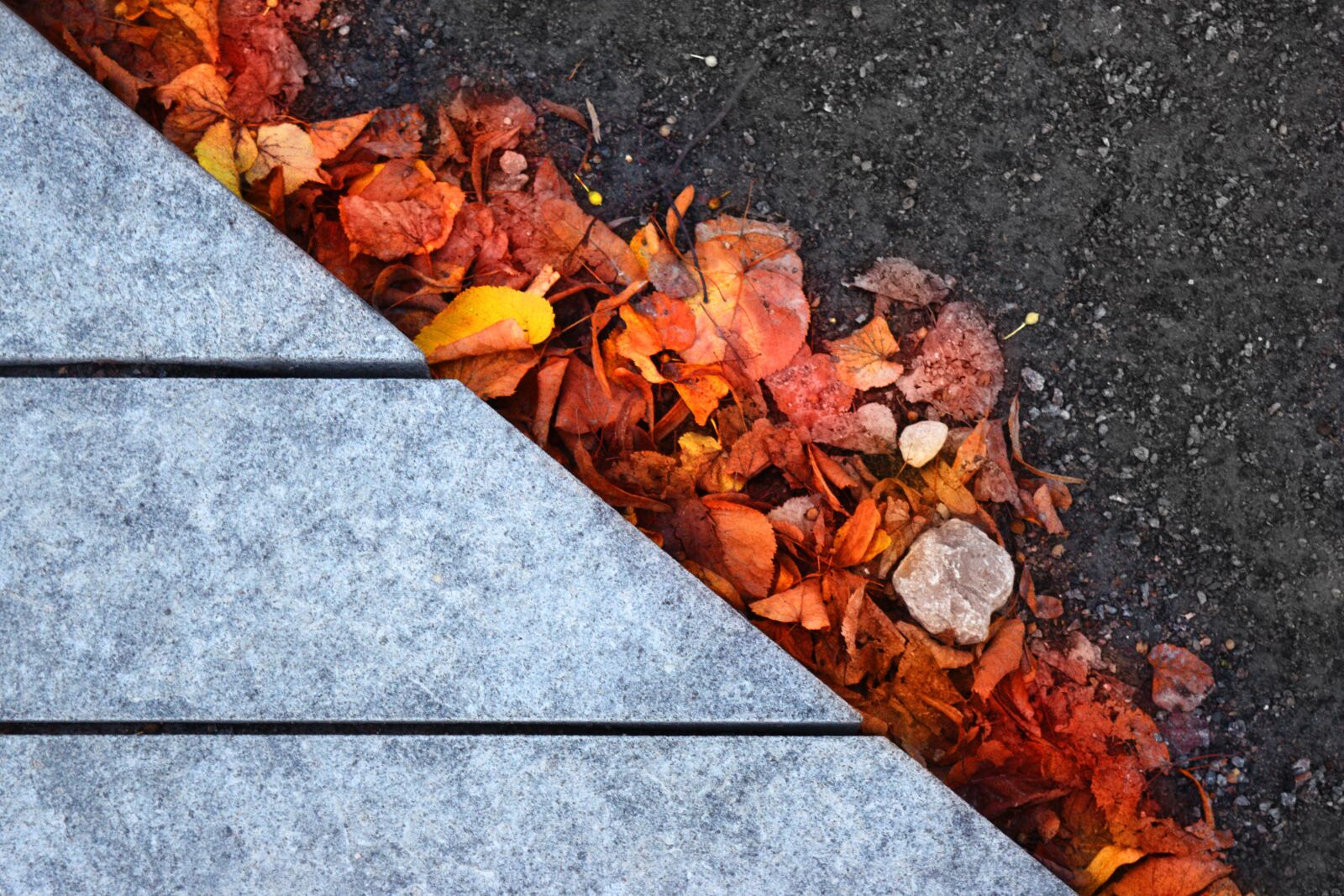 Nikon D3300 sample photo. Autumn leaves, autumn background photography