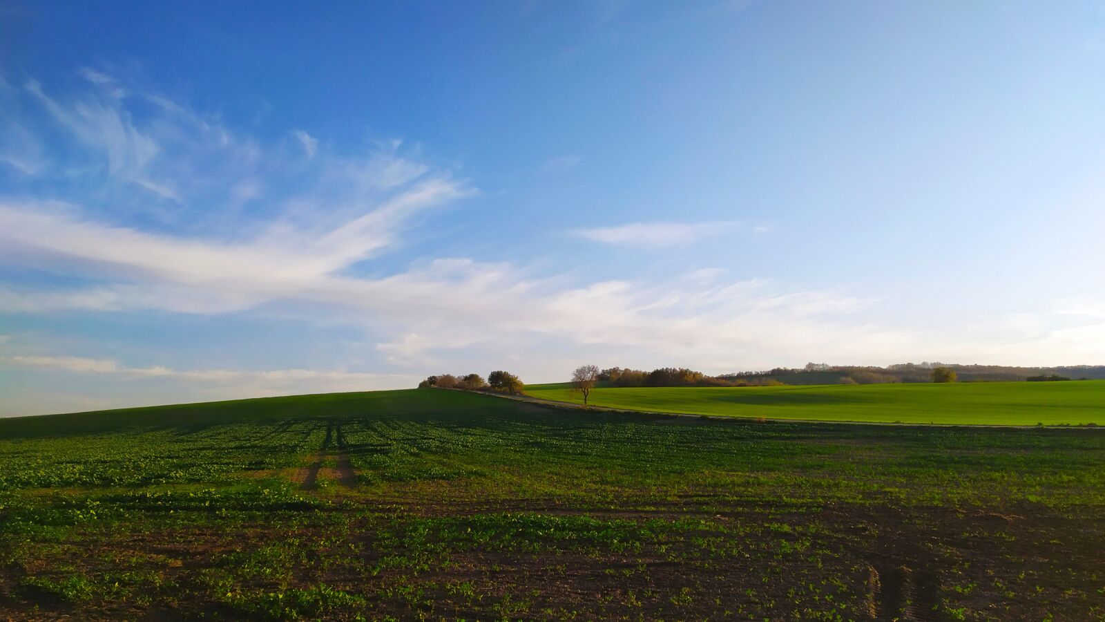 Xiaomi Redmi Note 7 sample photo. Moravia, europe, border photography