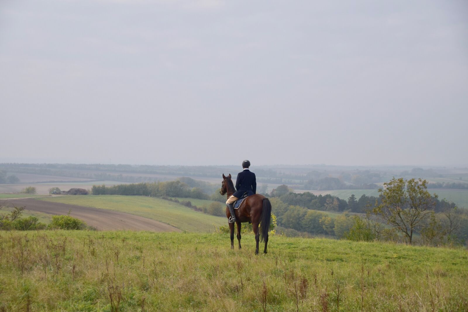 Nikon D5300 sample photo. Hunting horseback riding, reintal photography