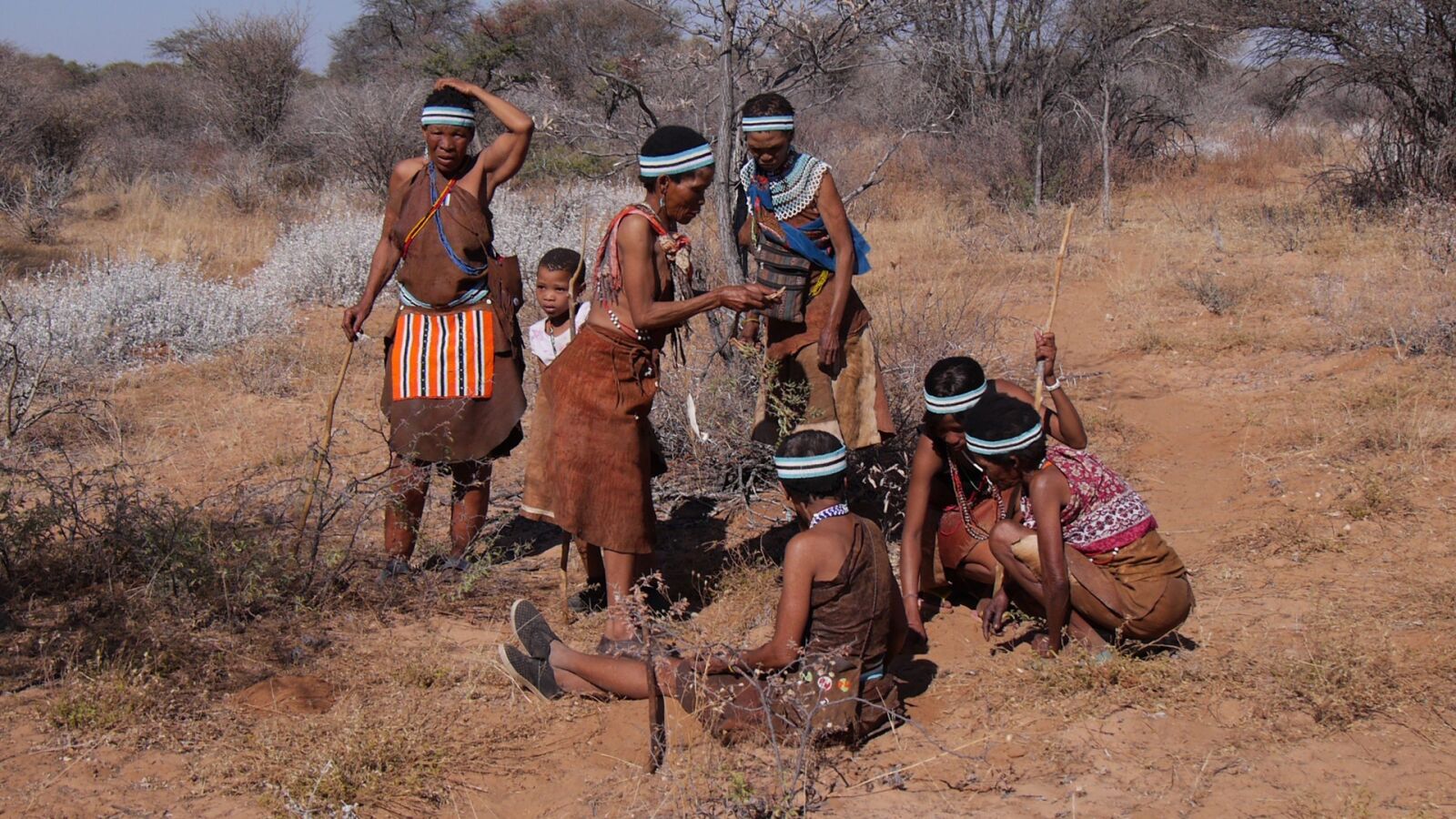 Panasonic Lumix DMC-GH3 sample photo. Botswana, bushman, group photography
