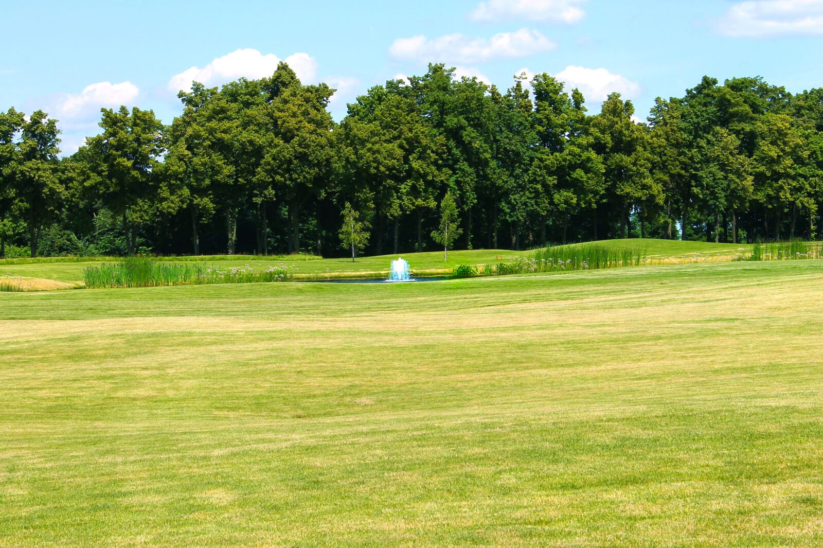 Canon EOS 1100D (EOS Rebel T3 / EOS Kiss X50) sample photo. Golf, game, golf course photography