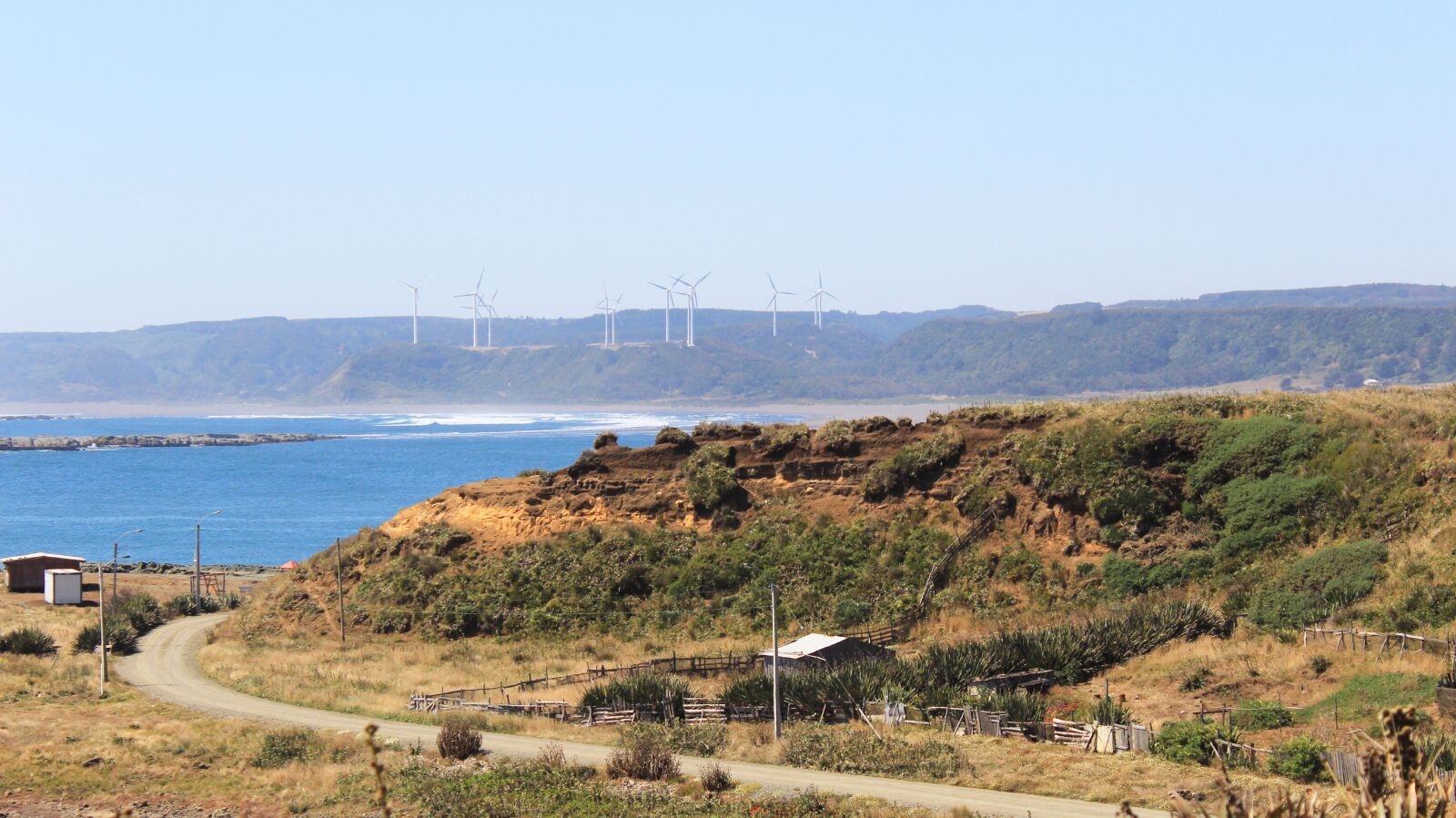 Canon EOS 1200D (EOS Rebel T5 / EOS Kiss X70 / EOS Hi) sample photo. Wind, energy, forest photography