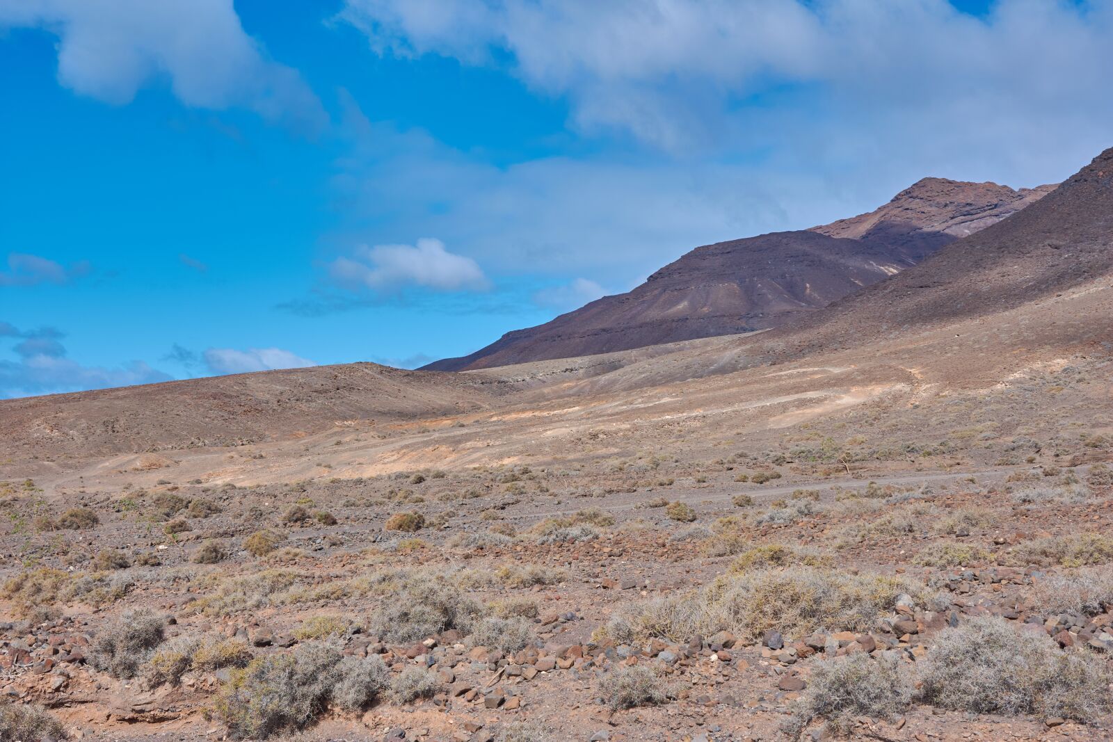 Nikon D7200 sample photo. Desert, karg, stones photography