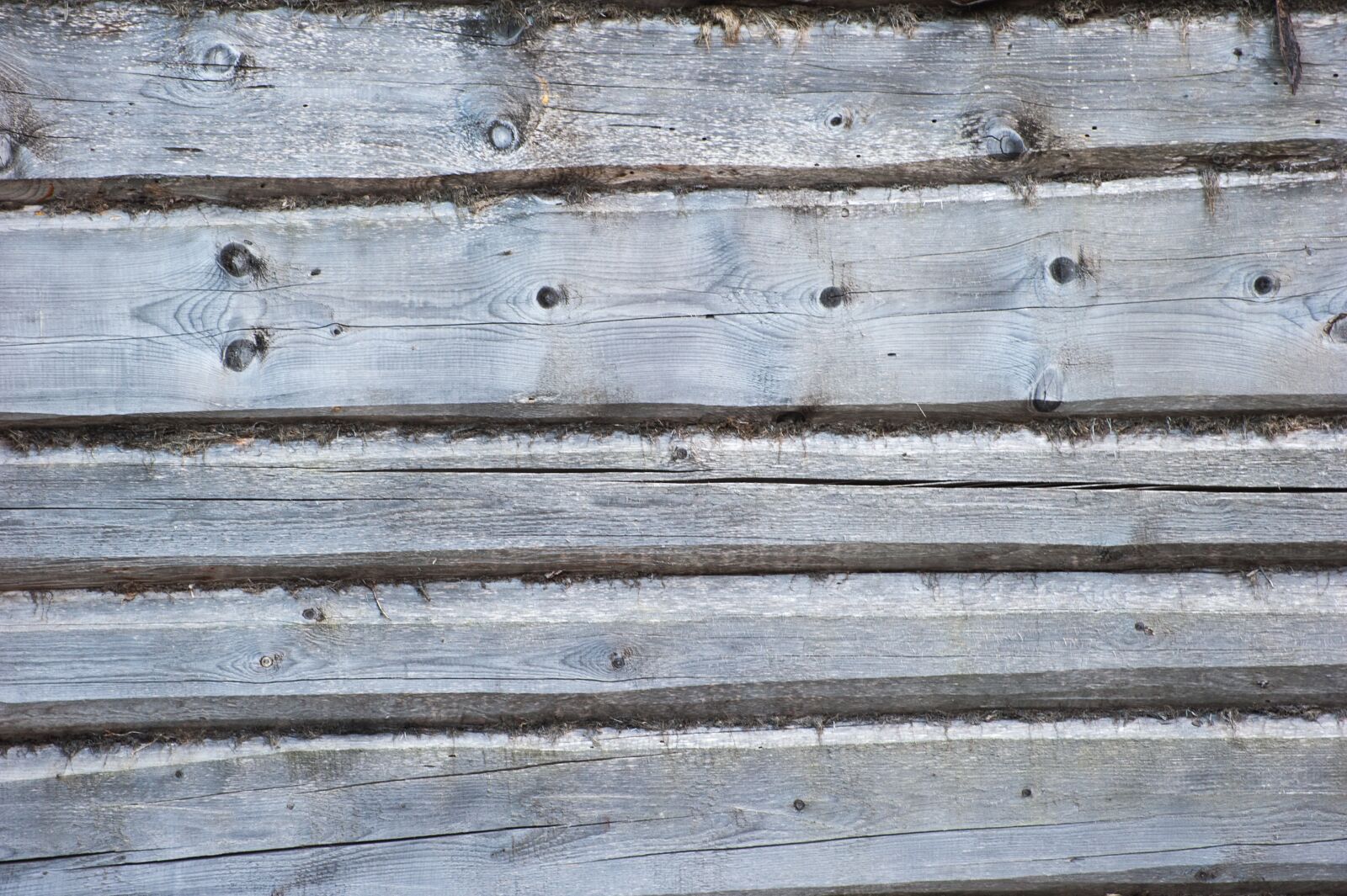 Nikon D700 sample photo. Wall, timber, old wall photography