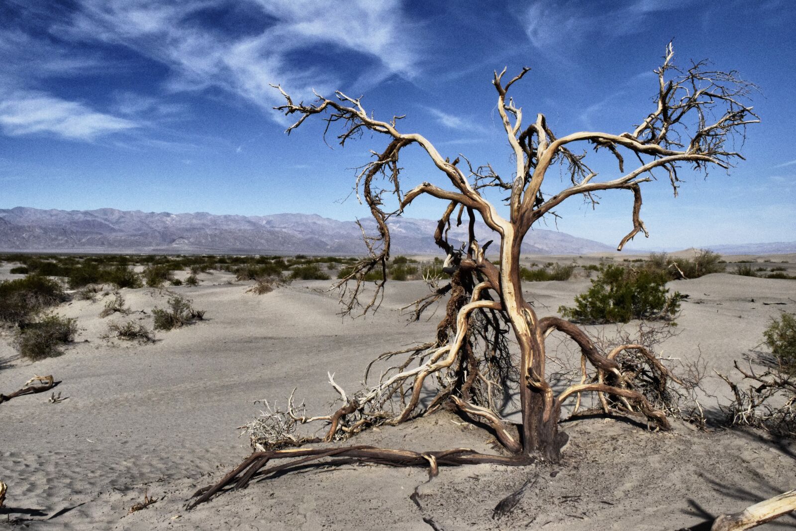 Nikon D3300 sample photo. Usa, desert, landscape photography