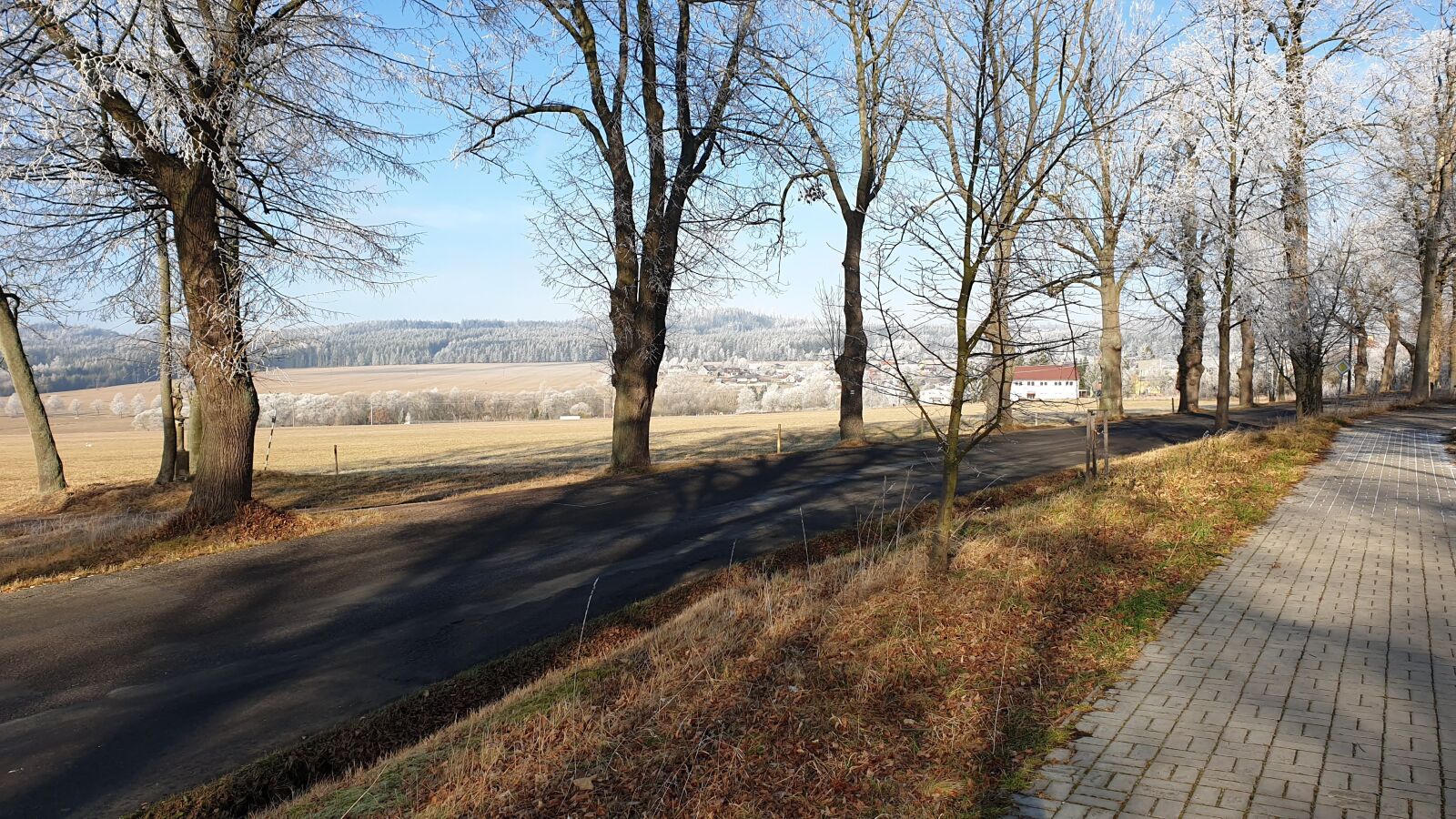 Samsung Galaxy Note9 sample photo. Winter, strašice, land photography