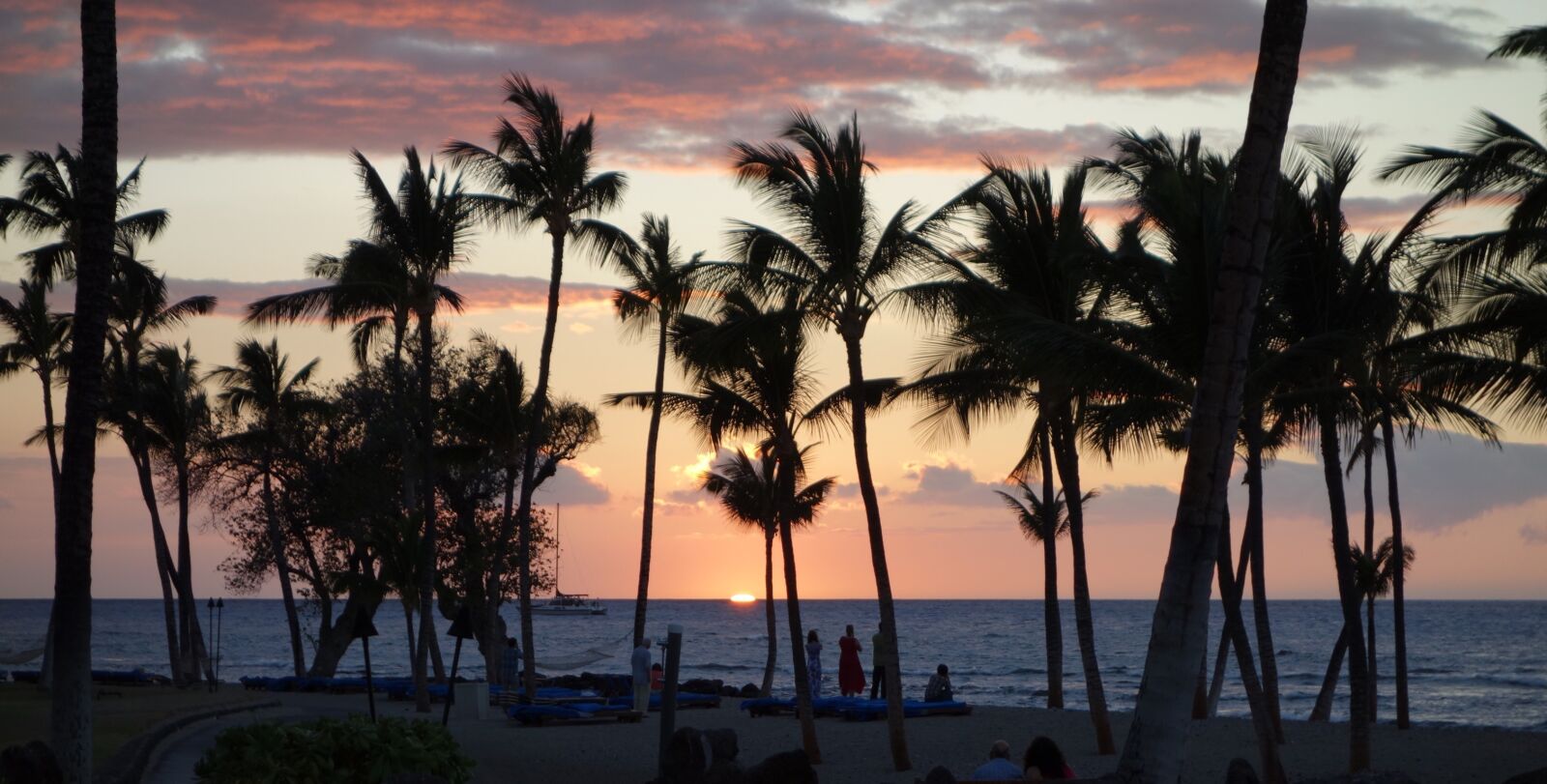 Sony Cyber-shot DSC-RX100 sample photo. Tropical, kona, hi photography