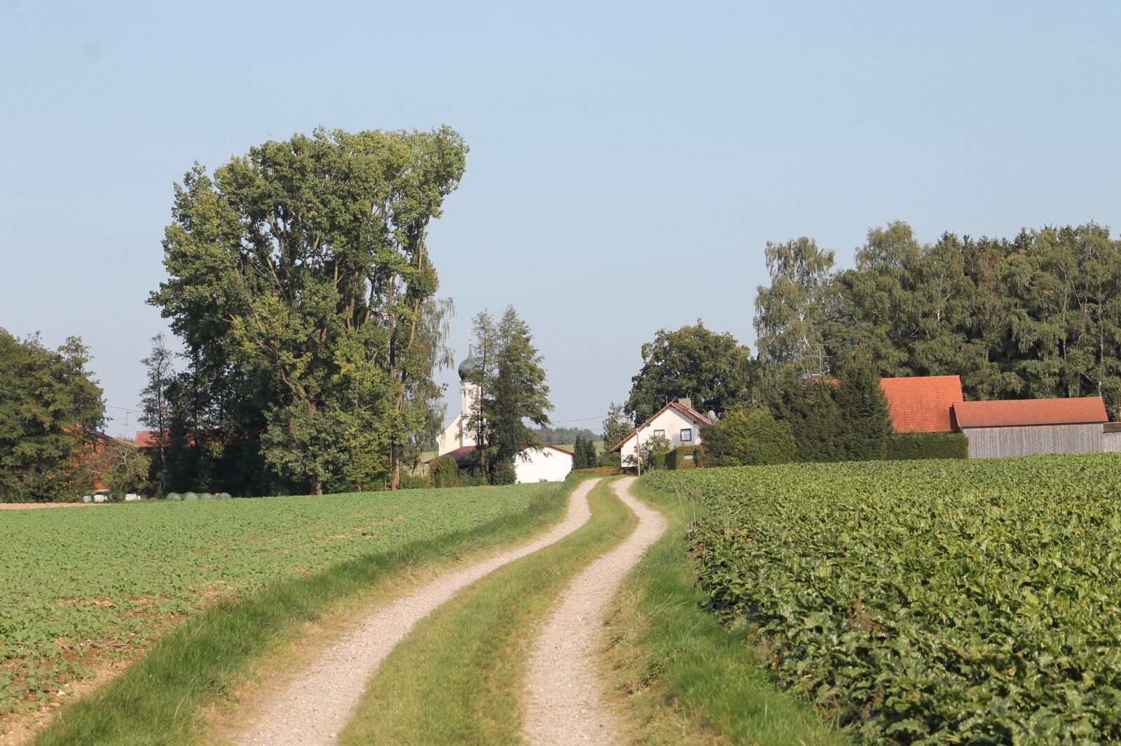 Canon EOS 1100D (EOS Rebel T3 / EOS Kiss X50) sample photo. Country life, land, landscape photography