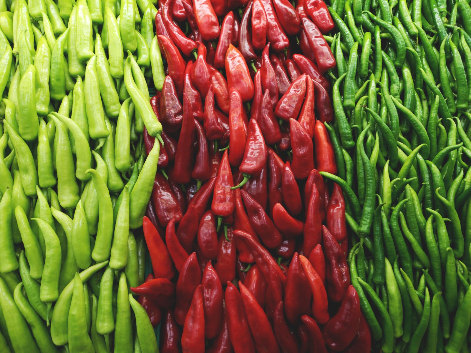 HUAWEI CLT-L09 sample photo. Pepper, red, green photography