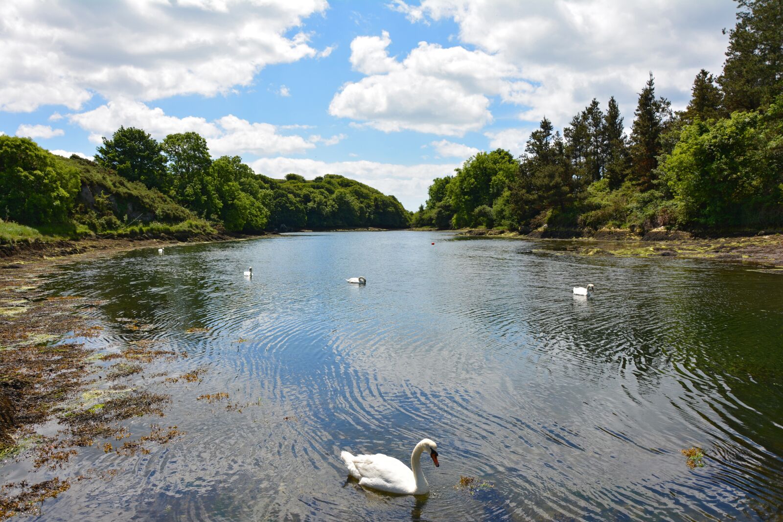 Nikon D5200 sample photo. Inlet, bay, river photography