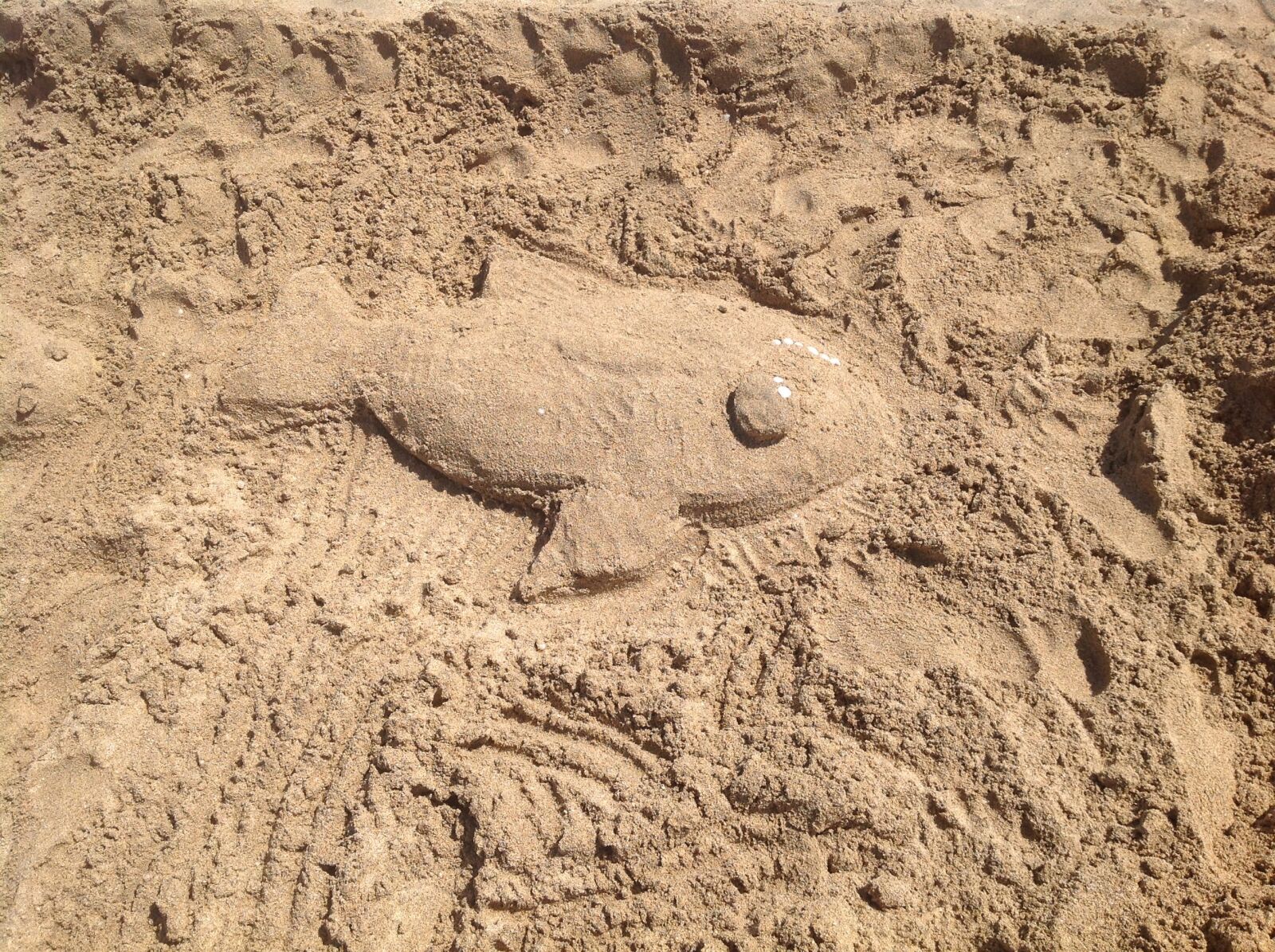 iPad back camera 4.28mm f/2.4 sample photo. Sand, fish, sculpture photography