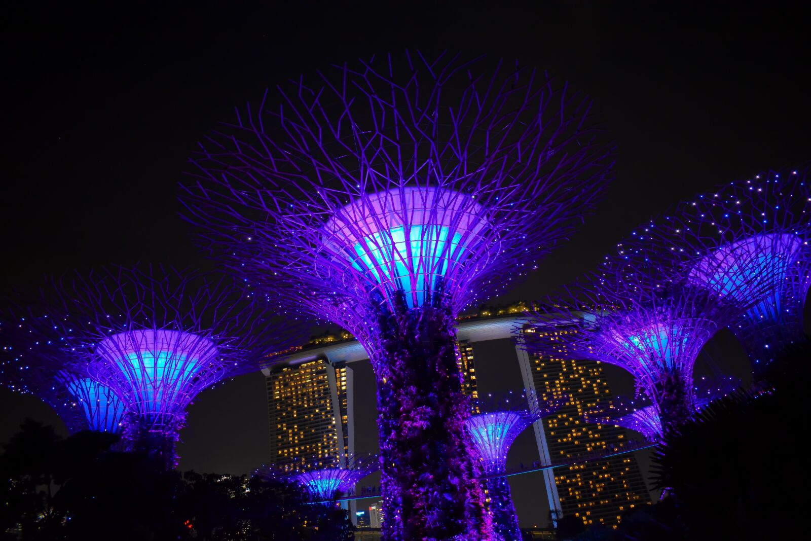 Nikon D7100 sample photo. Singapore, lightshow, gardensbythebay photography