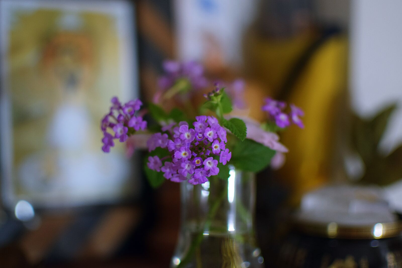 Nikon D5300 sample photo. Flower, purple, violet photography