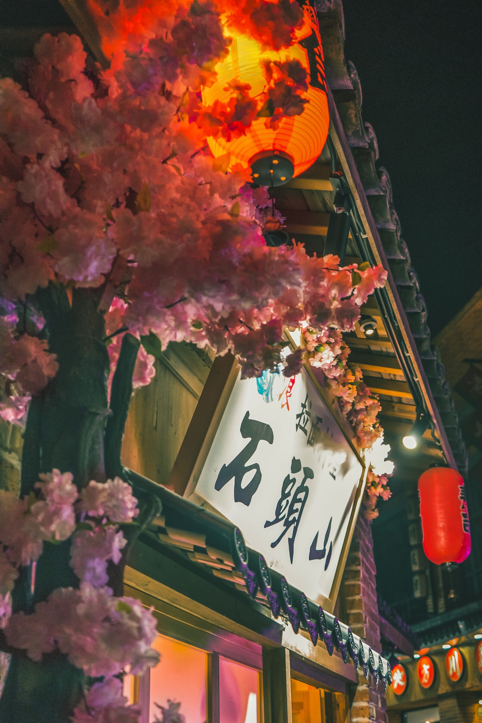 Sony a7 II + Sony FE 28-70mm F3.5-5.6 OSS sample photo. Hefei, hon street, cherry photography