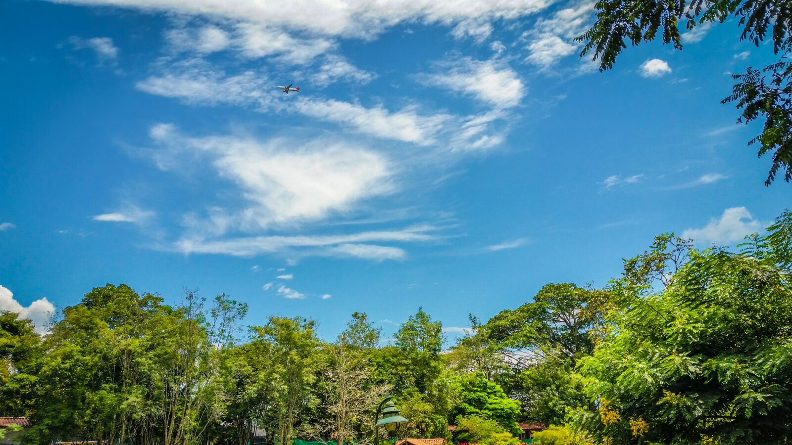 Samsung Galaxy S5 sample photo. Airplane, blue, sky, clouds photography
