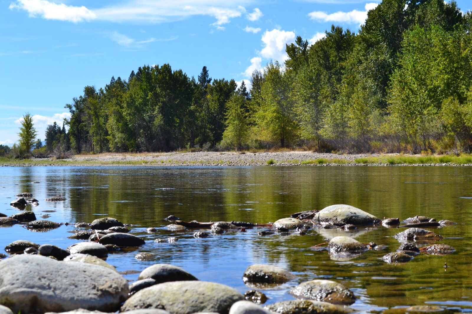 Nikon D3100 sample photo. Bitterroot river, hamilton, montana photography