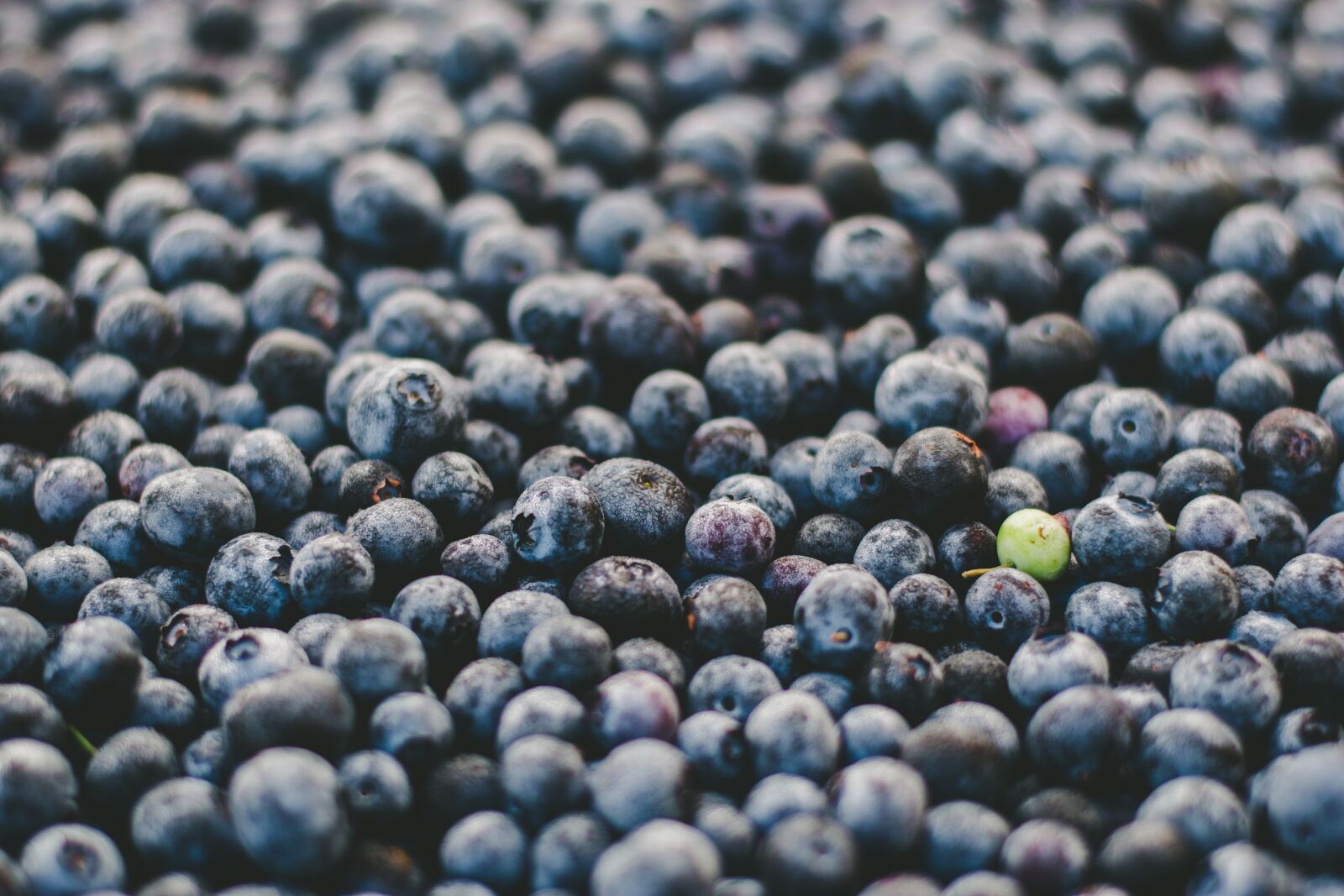 Nikon D5500 sample photo. Berries, blueberries, food photography
