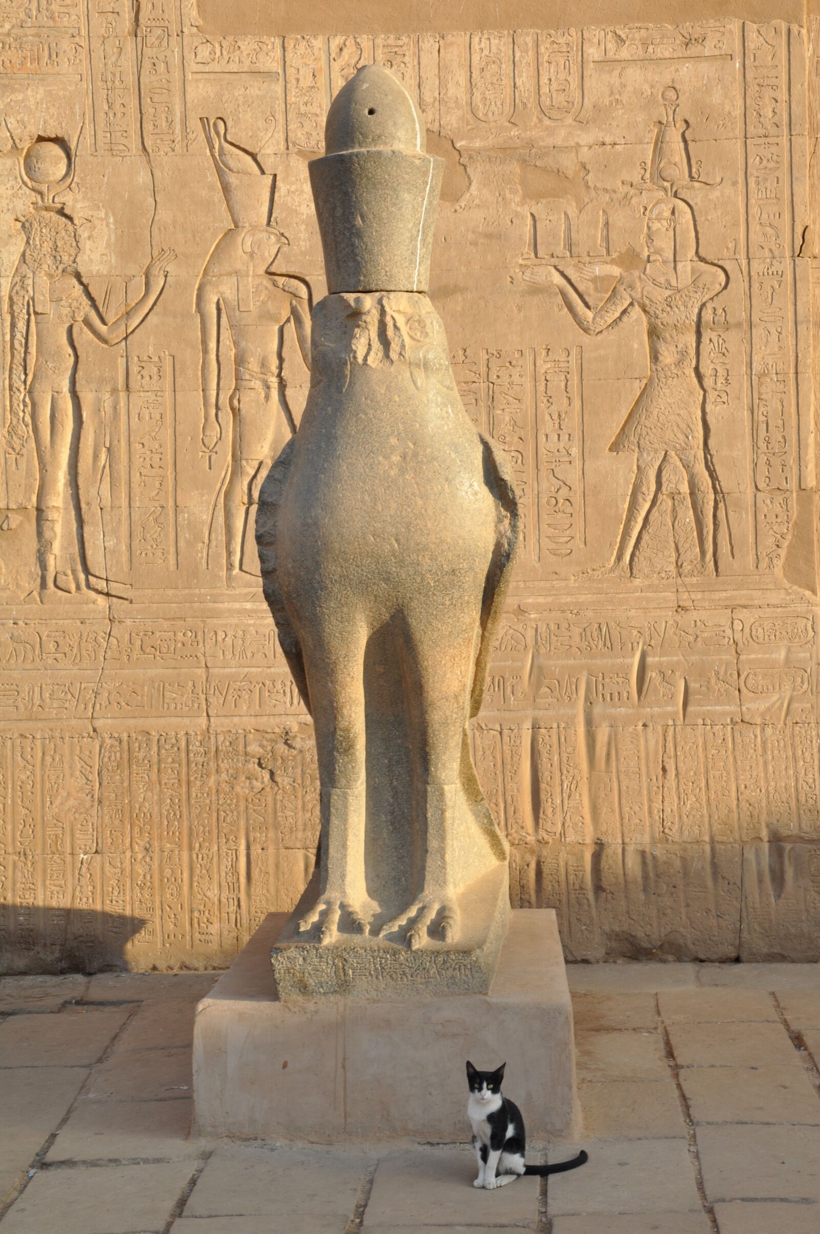 Nikon D90 sample photo. Egypt, temple, hieroglyphs photography