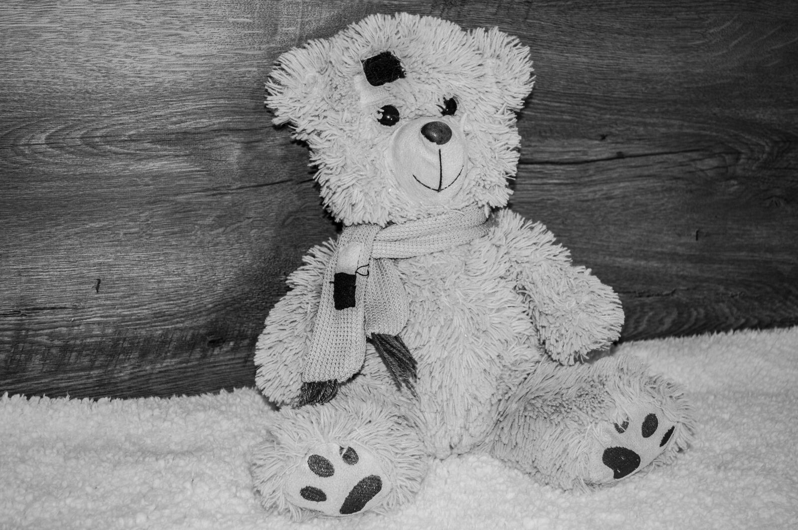 Nikon D90 sample photo. Bear, teddy, cute photography
