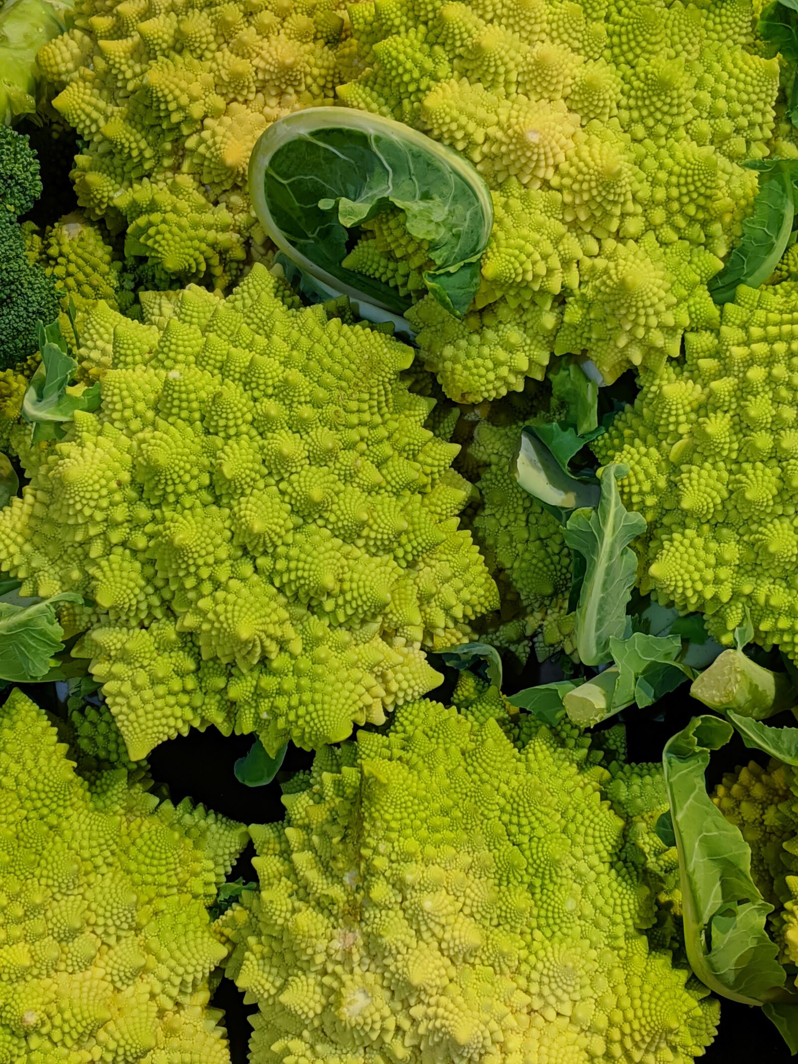 Google Pixel 3 XL sample photo. Romanesco broccoli, broccoli, cauliflower photography