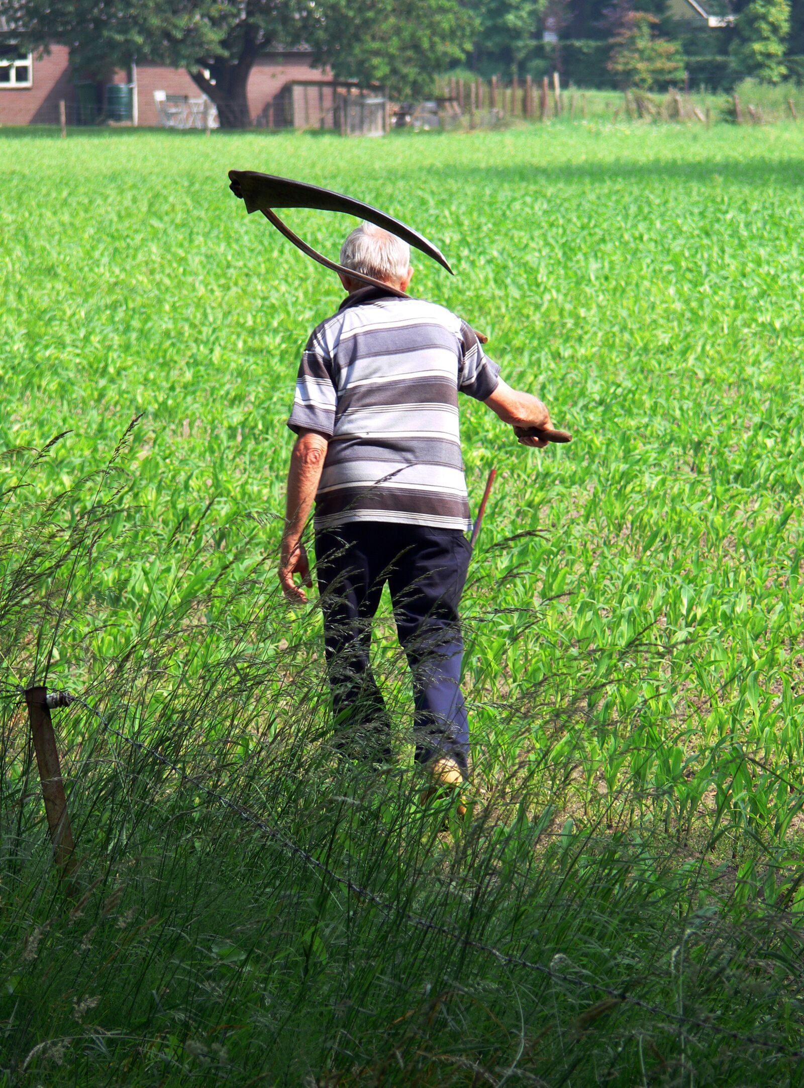Panasonic DMC-FZ30 sample photo. Farmer, scythe, grass photography