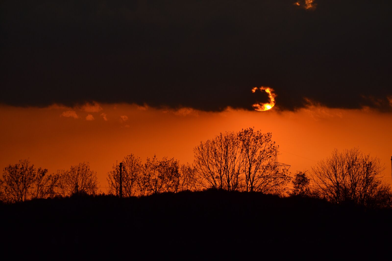 Nikon D3100 sample photo. Sunset, tree, silhouette photography
