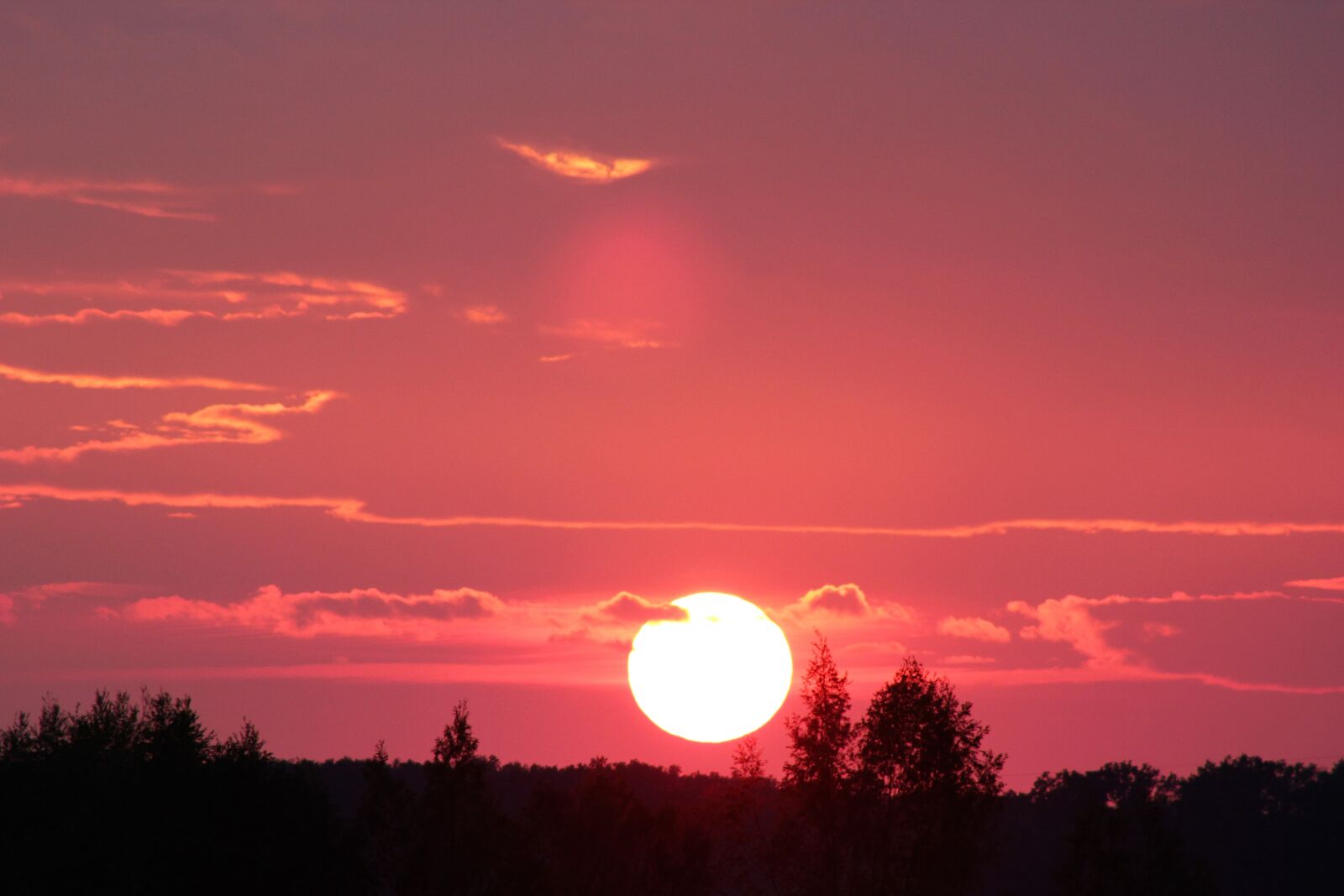 Canon EOS 550D (EOS Rebel T2i / EOS Kiss X4) sample photo. Pink sunset, evening, sky photography