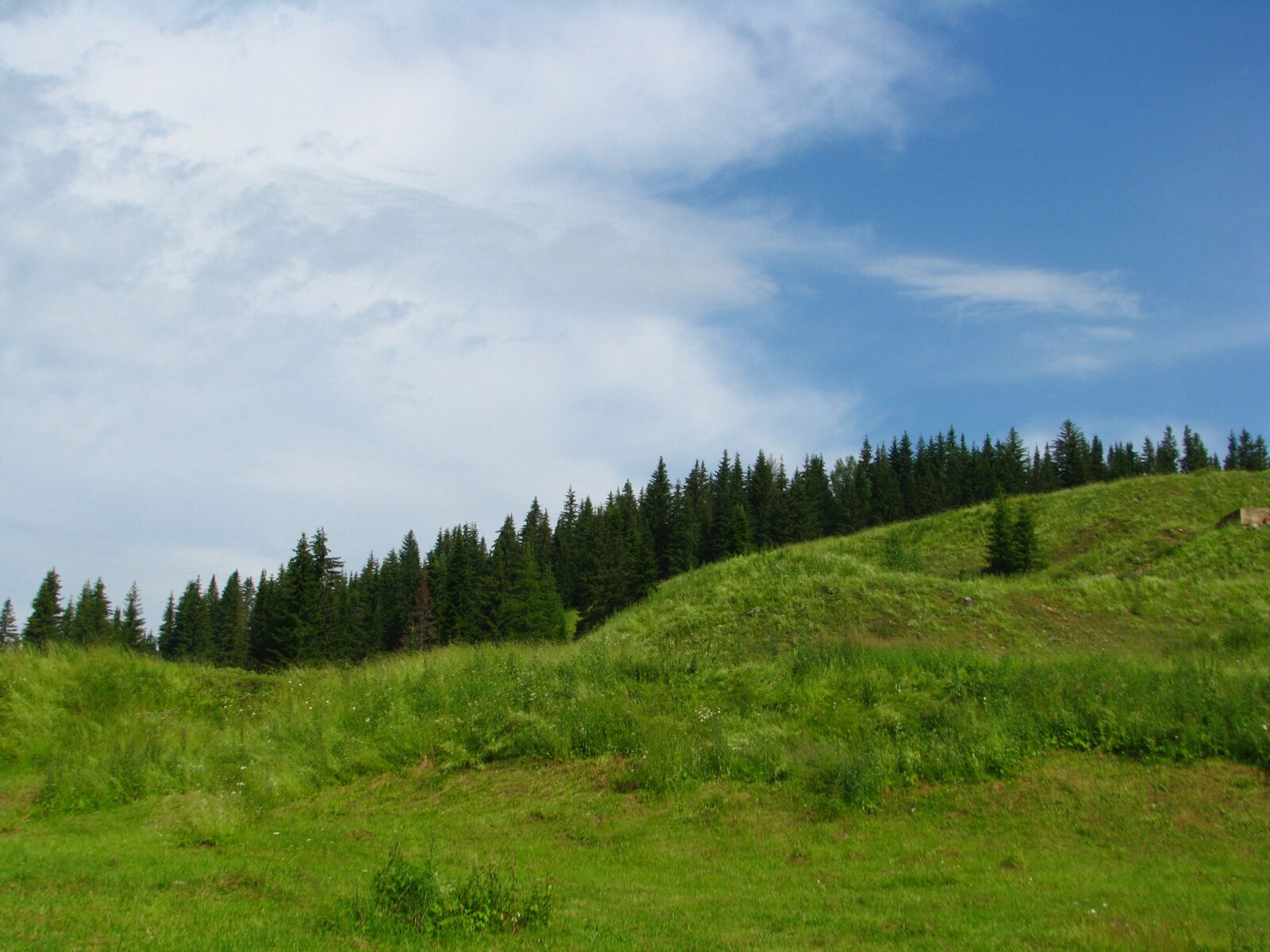 Canon POWERSHOT S5 IS sample photo. Forest, mountain, slope photography