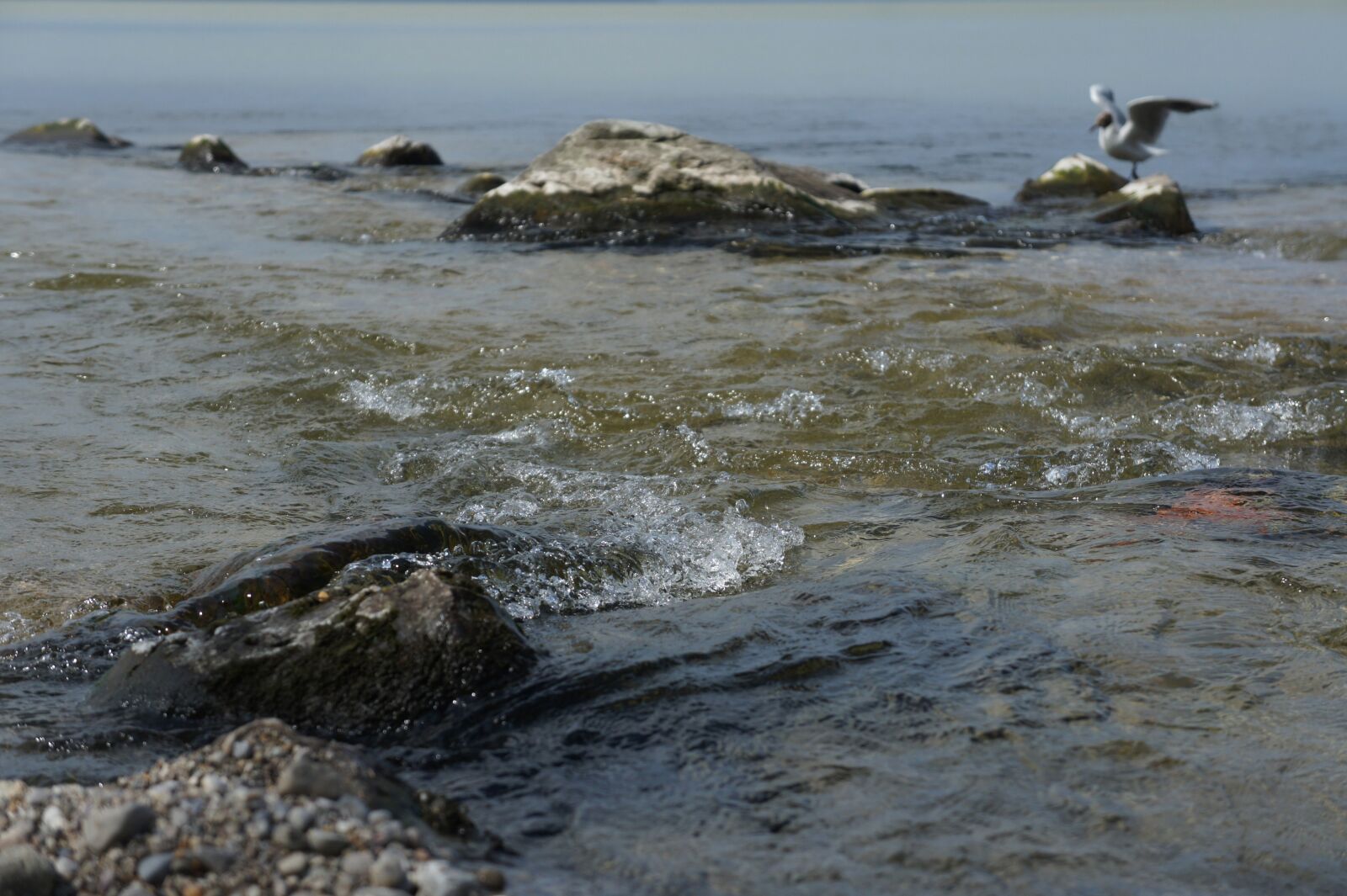 Sony Alpha NEX-5 sample photo. Chiemsee, chieming, bavaria photography
