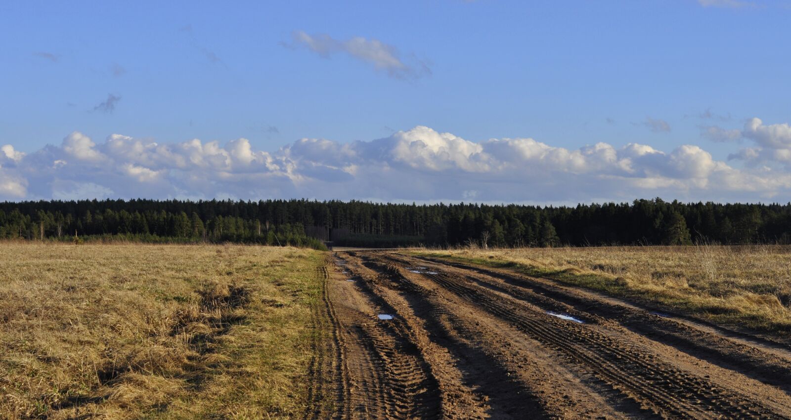 Nikon D5000 sample photo. Nature, landscape, at the photography