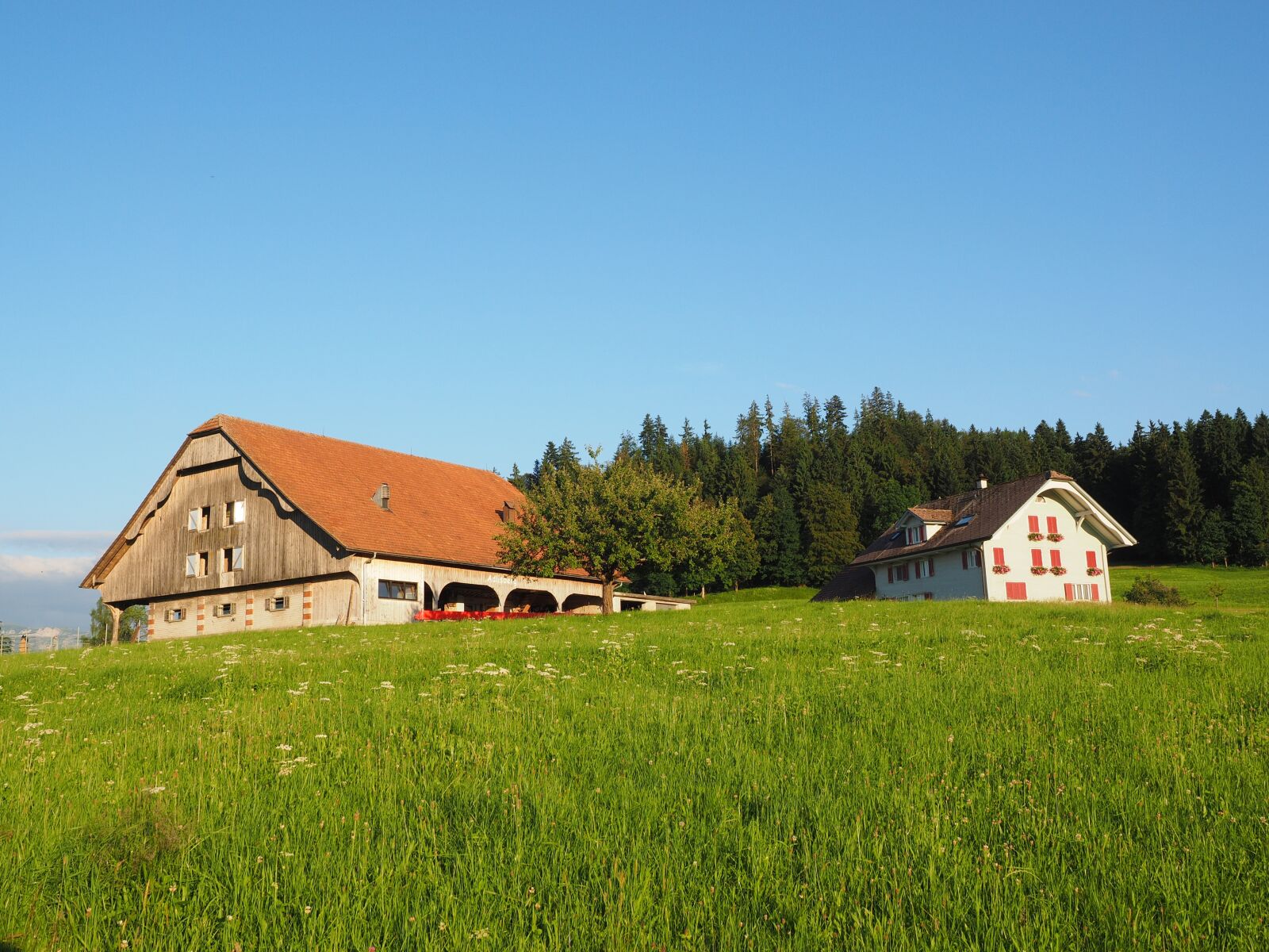 Olympus OM-D E-M1 + Olympus M.Zuiko Digital ED 12-40mm F2.8 Pro sample photo. Farm, ründihaus, farmhouse photography