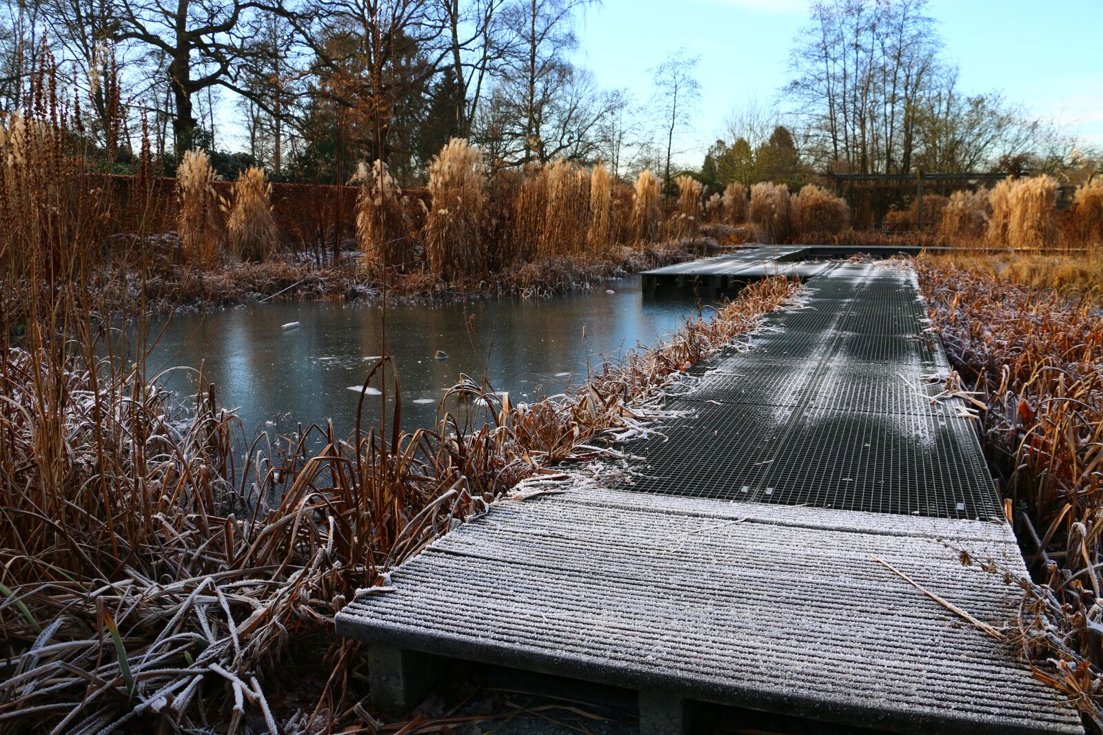 Canon EOS 70D + Canon EF-S 18-135mm F3.5-5.6 IS STM sample photo. Pond, winter, ice photography