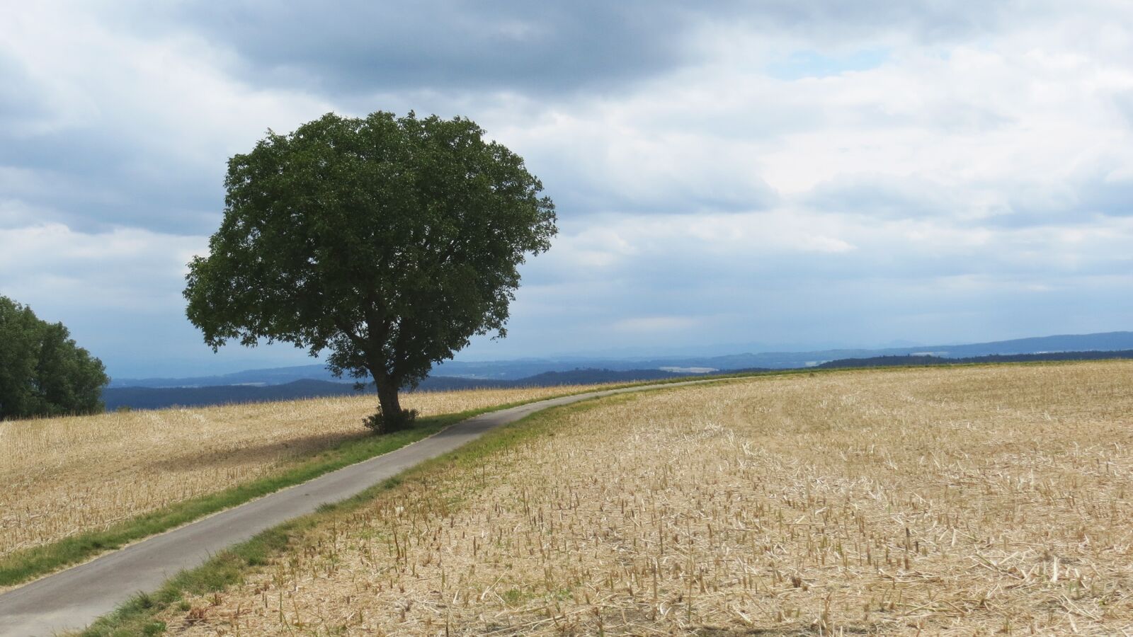 Canon PowerShot SX240 HS sample photo. Tree, away, landscape photography